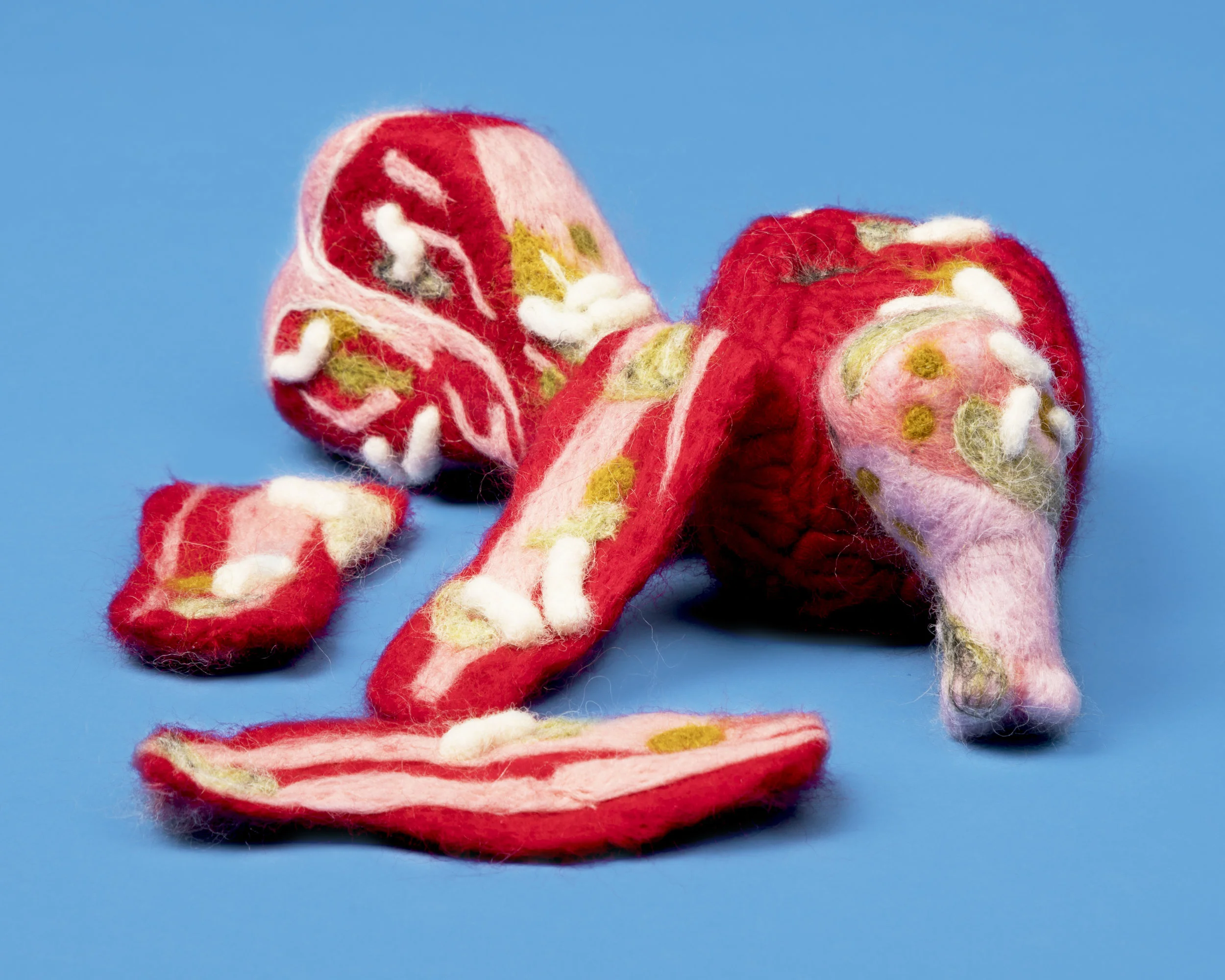 ALLIE'S ORGANS ARE IN MY STUDIO8751-Edit.jpg