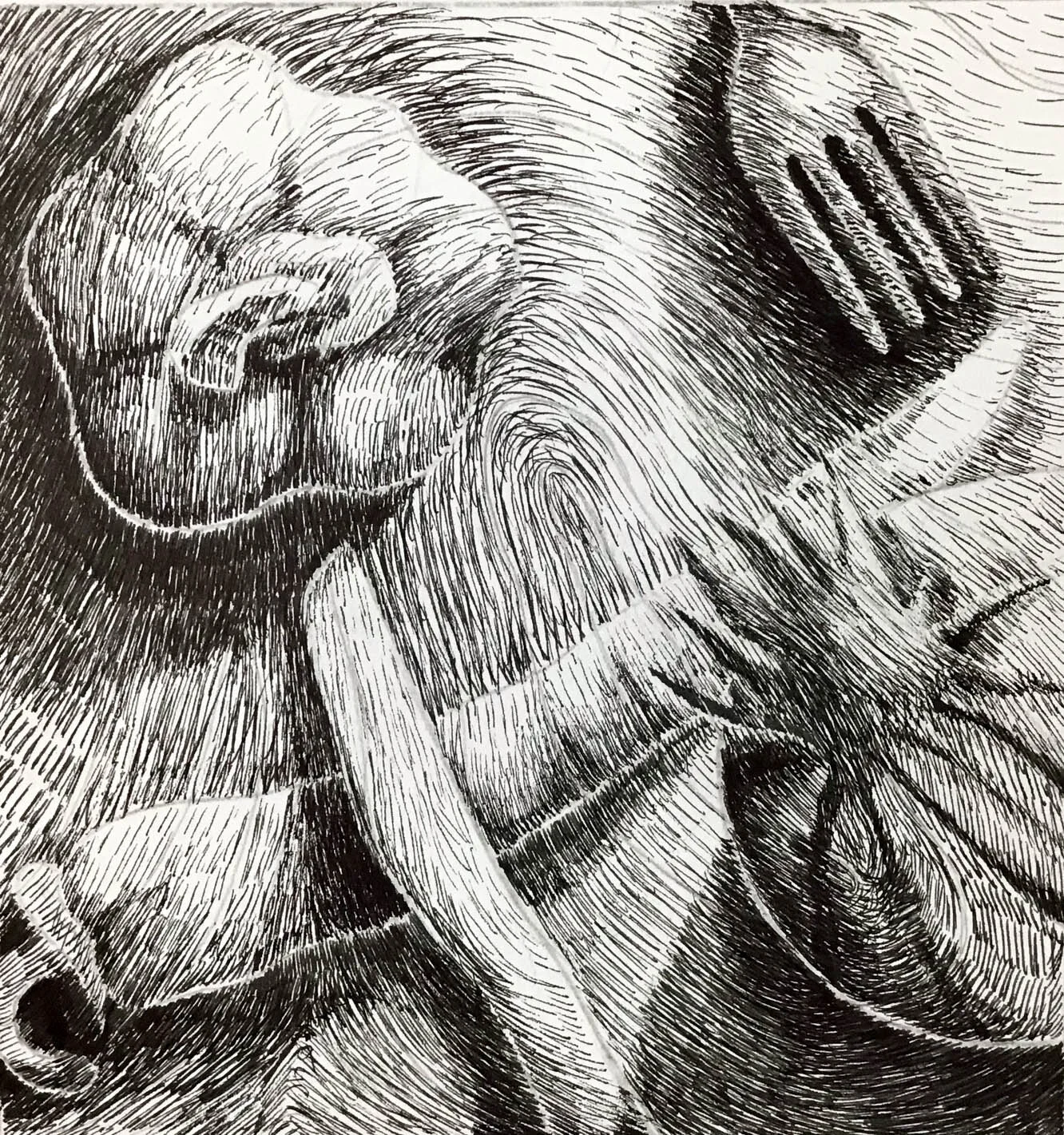 Sophia W, Age 15, South Windsor