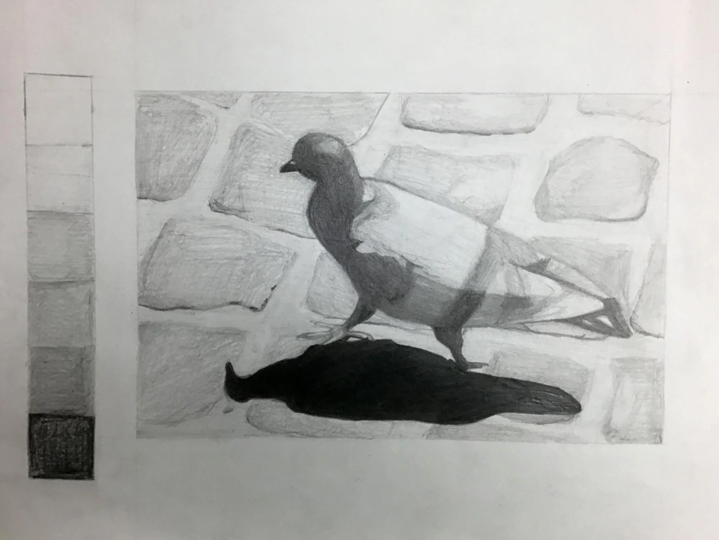Mya R, Age 14, South Windsor