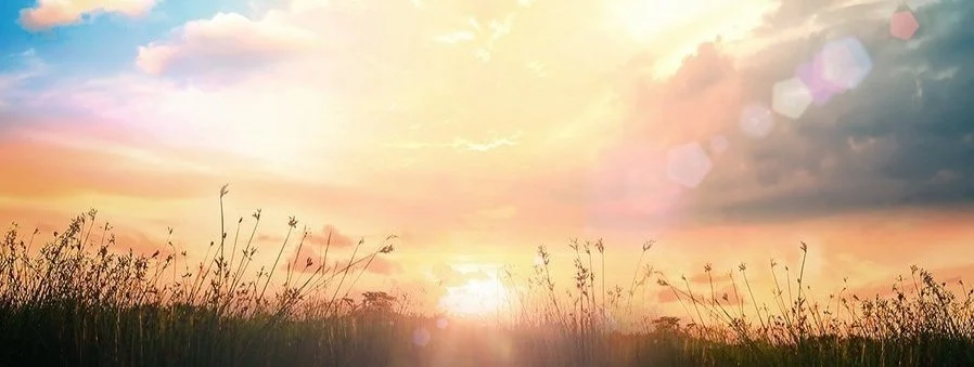 calmness%2Bhomepage.jpg
