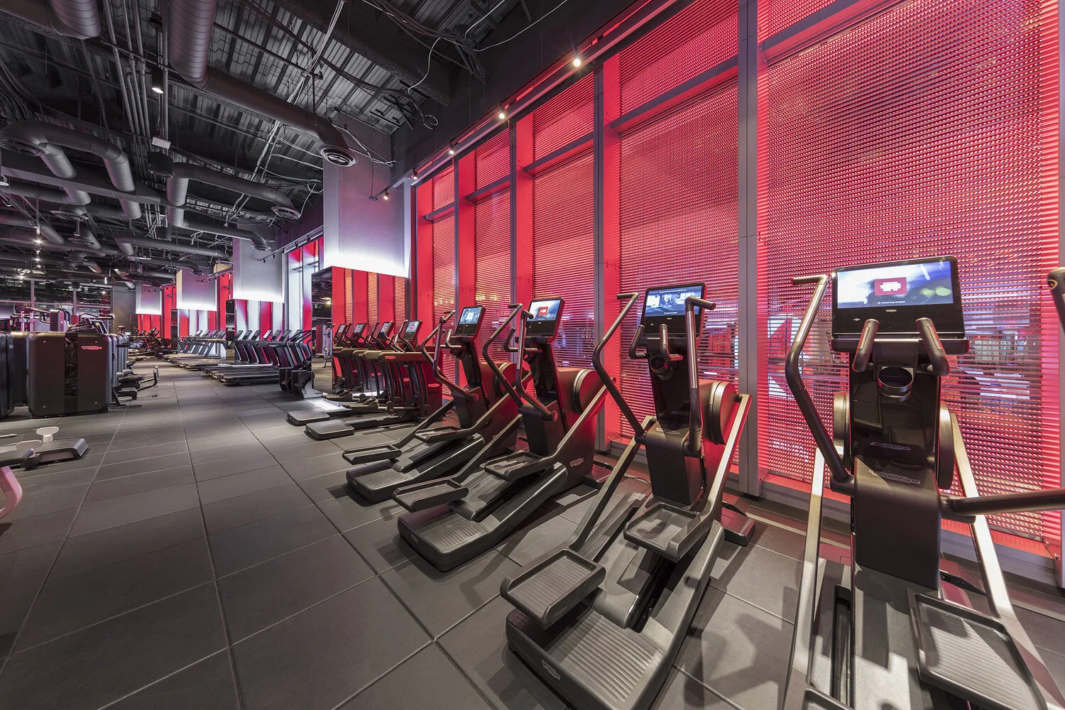 Technogym Ellipticals at Attitude Fitness.jpg