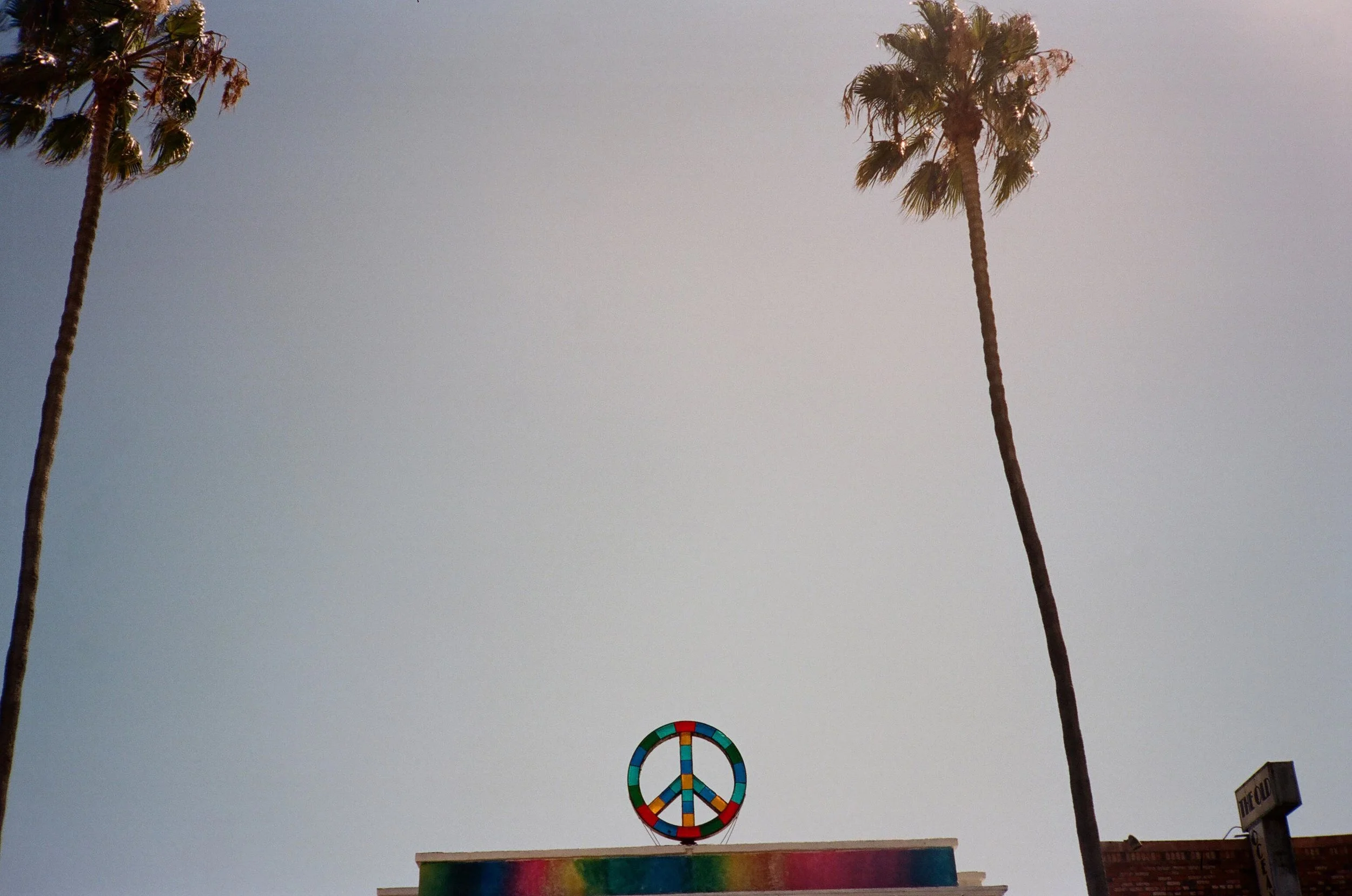 PEACE.jpg