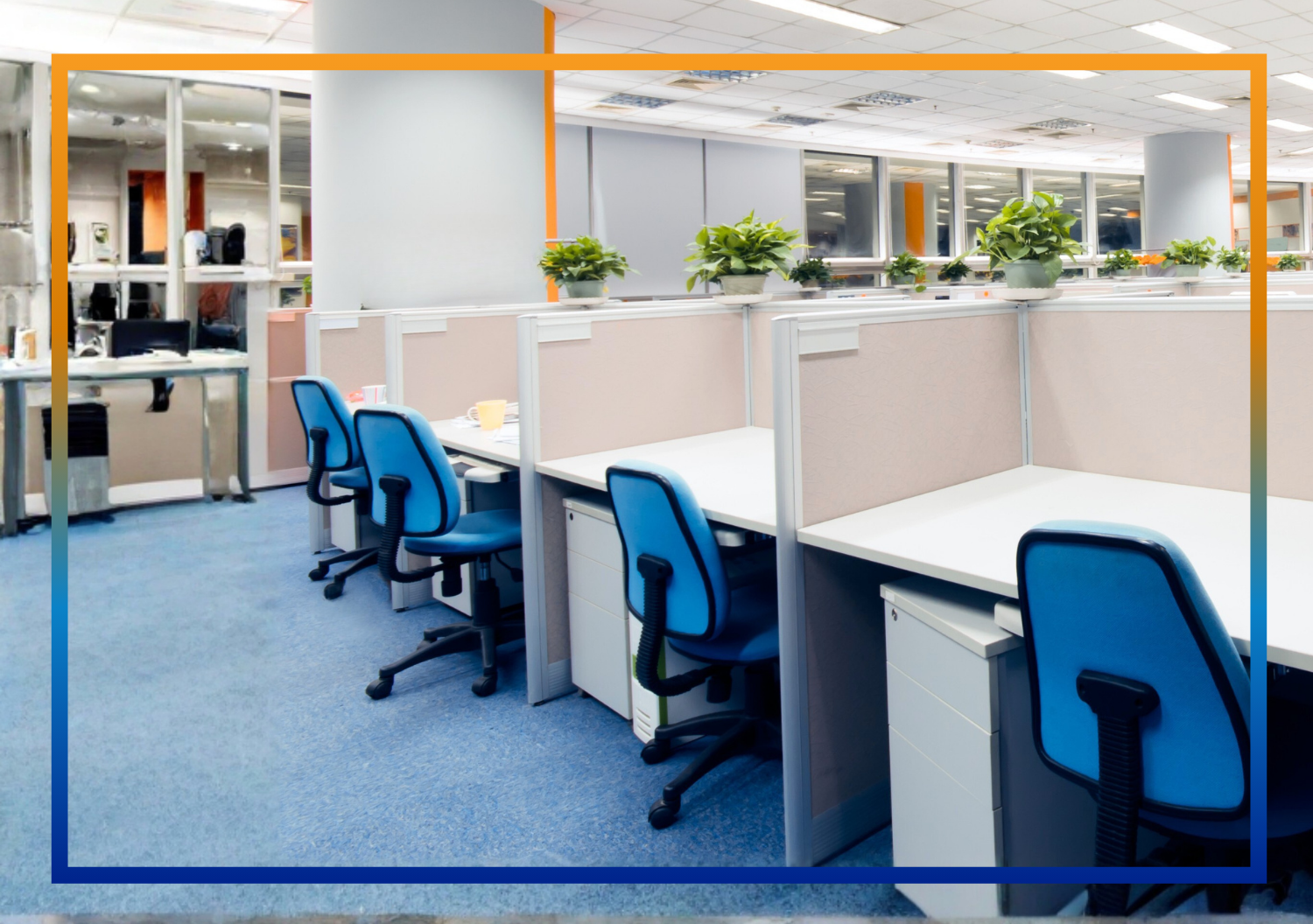 Empty office workspace with cubicles, blue chairs, potted plants, large windows, and overhead lighting.