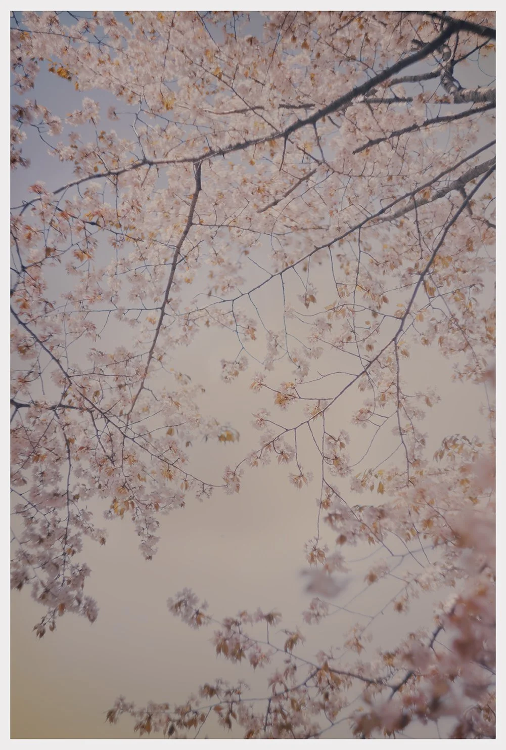  Kanazawa, april  2026 