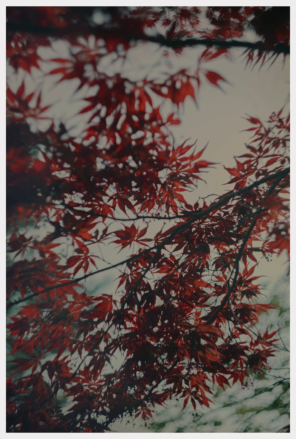  Kanazawa, April ‘26 