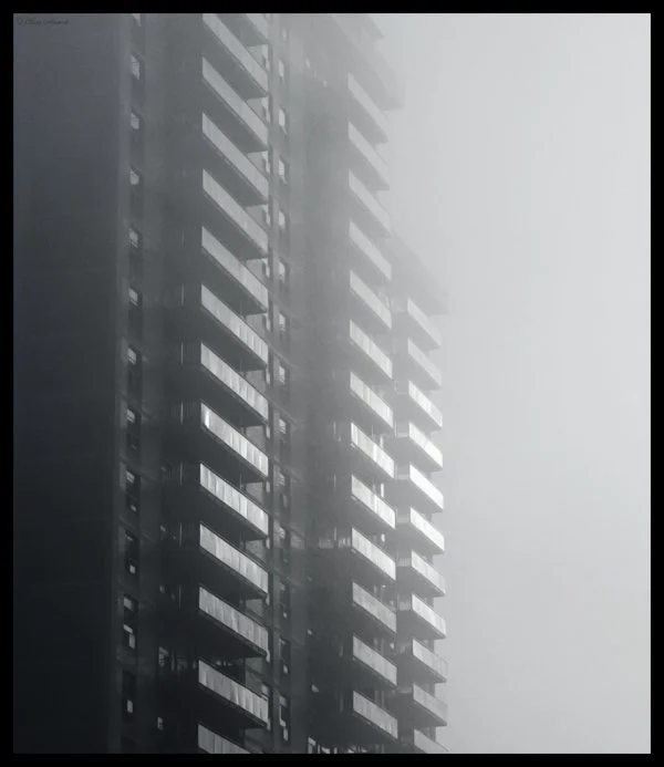29288384376.jpg