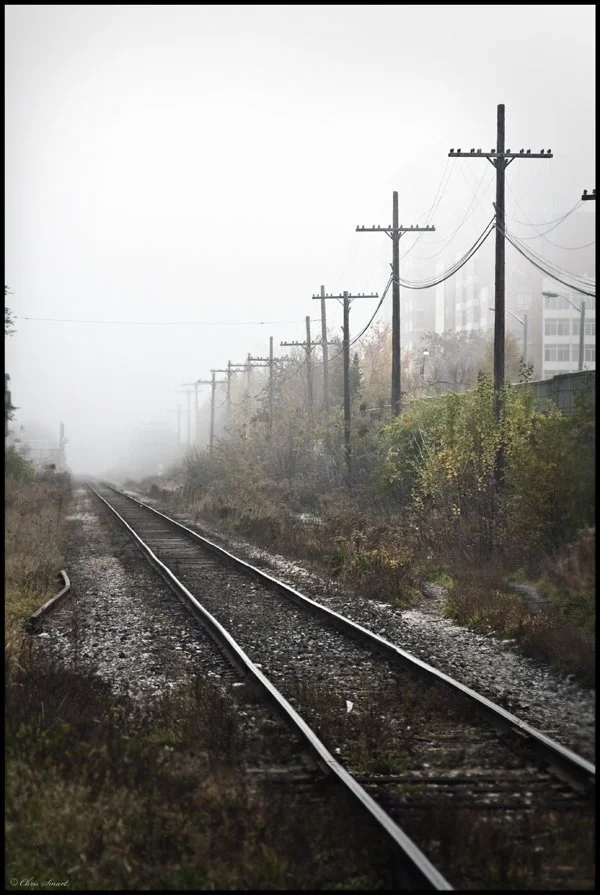 29371605102.jpg