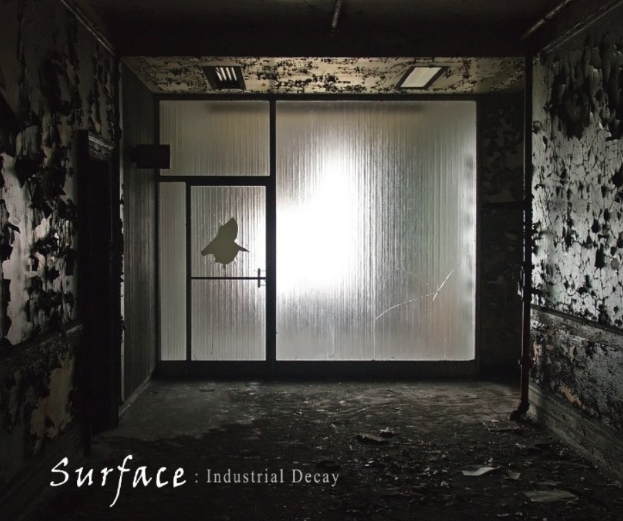 My first book! Surface - Industrial Decay