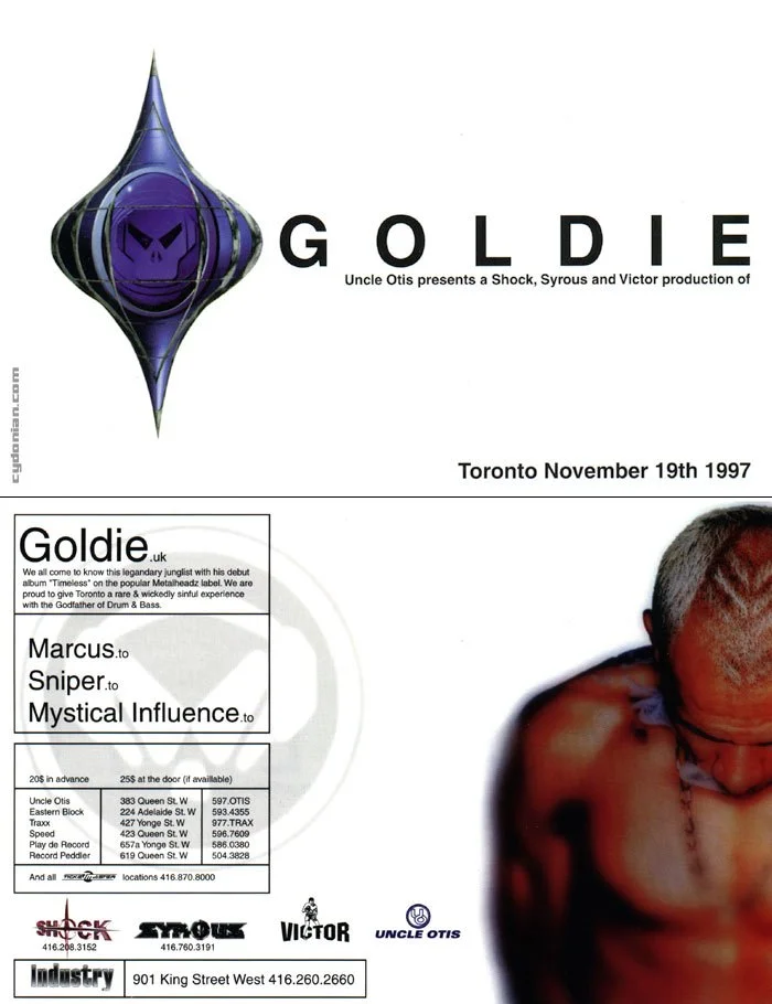 goldie_to.jpg