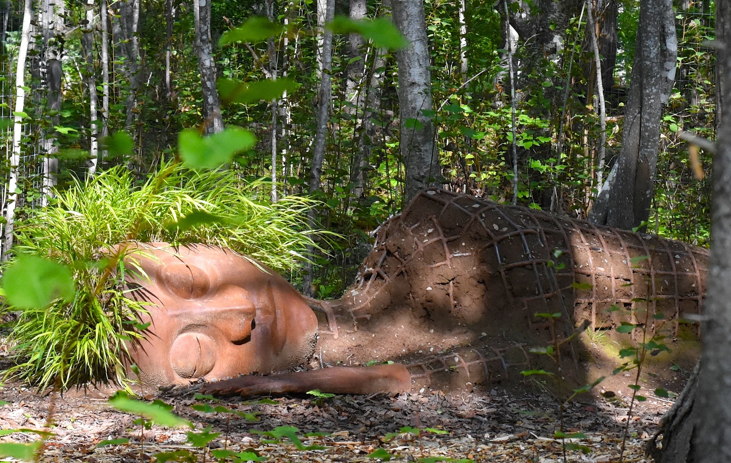 DSC_4889 - Version 2.JPG