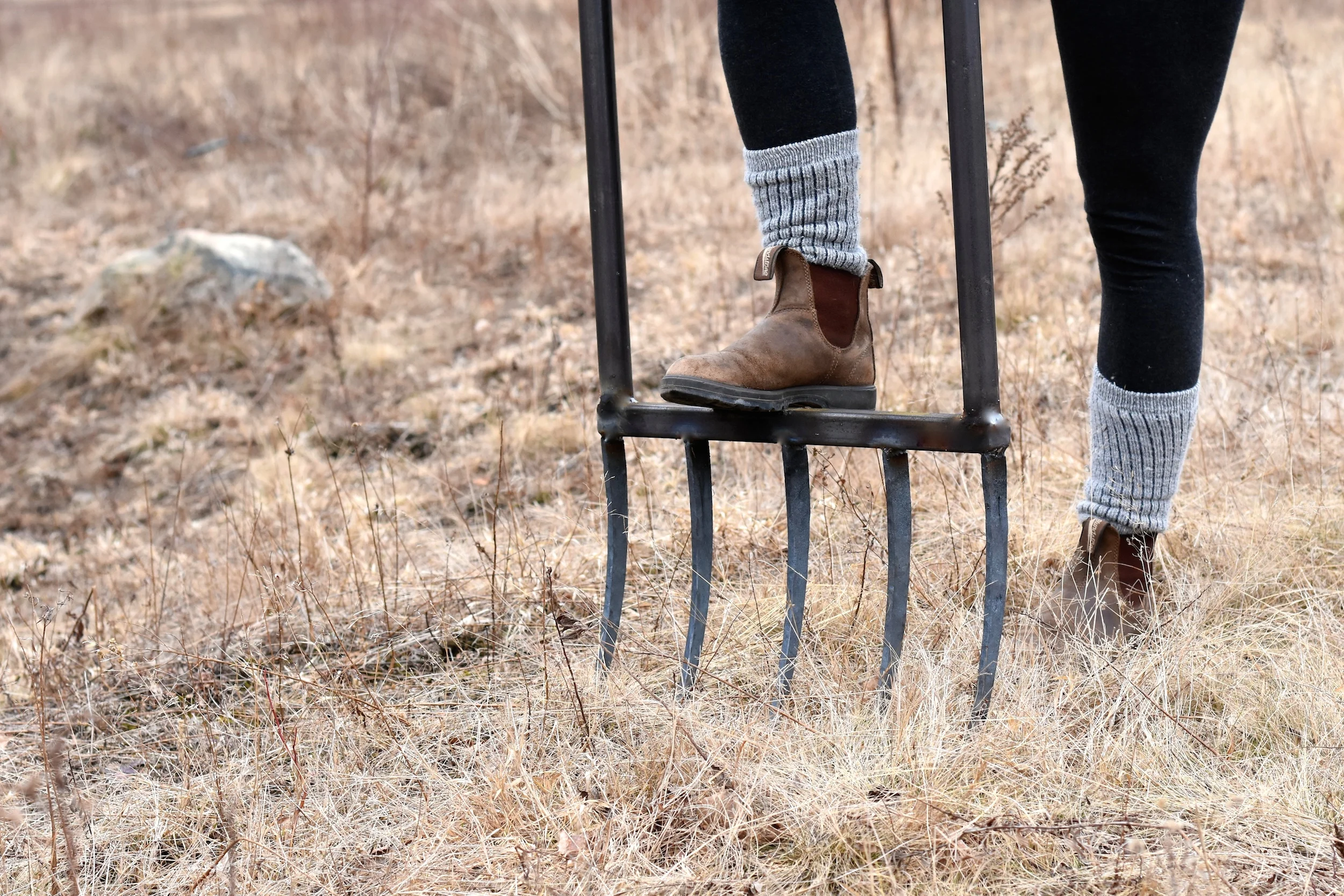 DSC_8003 - Version 2.JPG