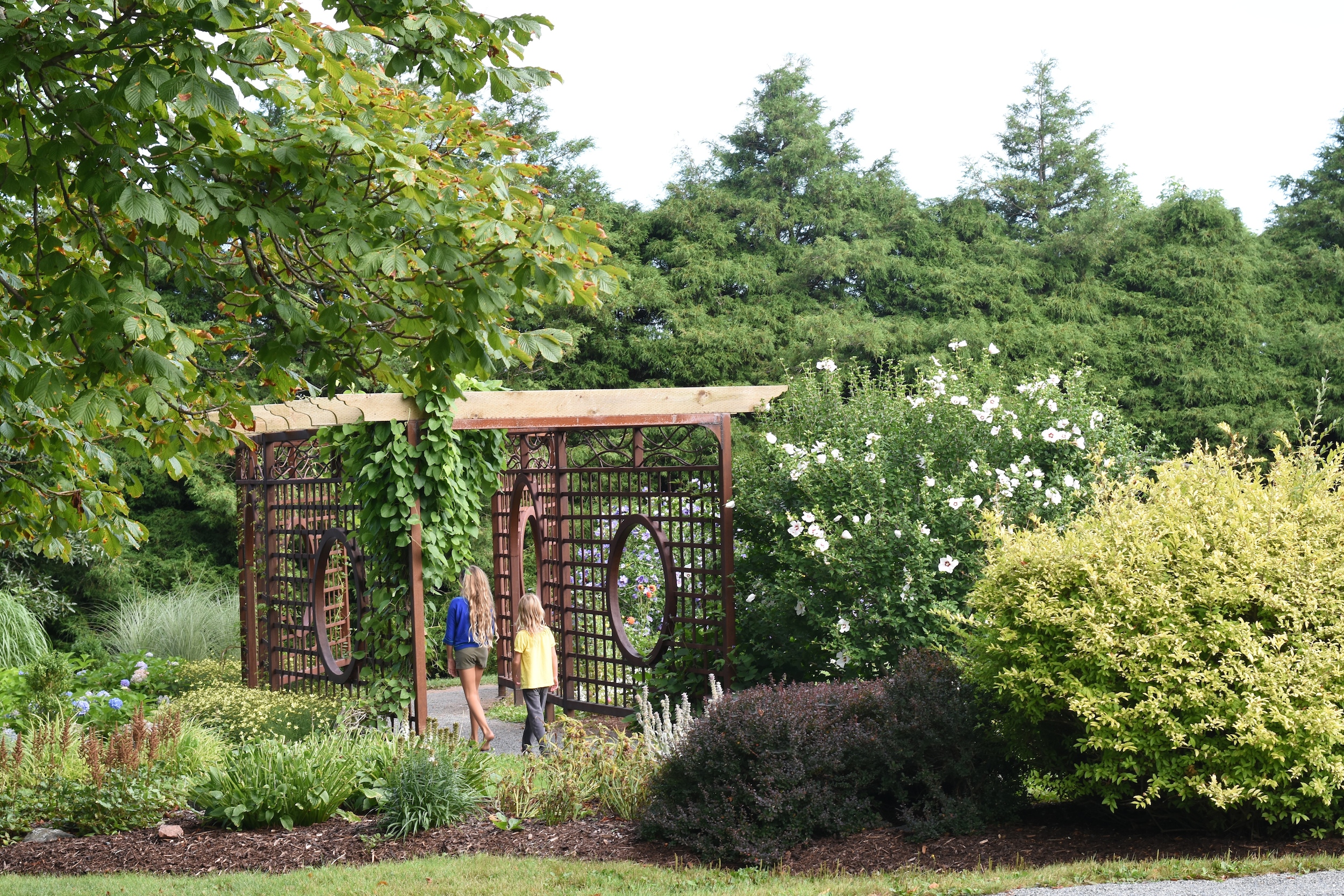 DSC_1540 site.JPG