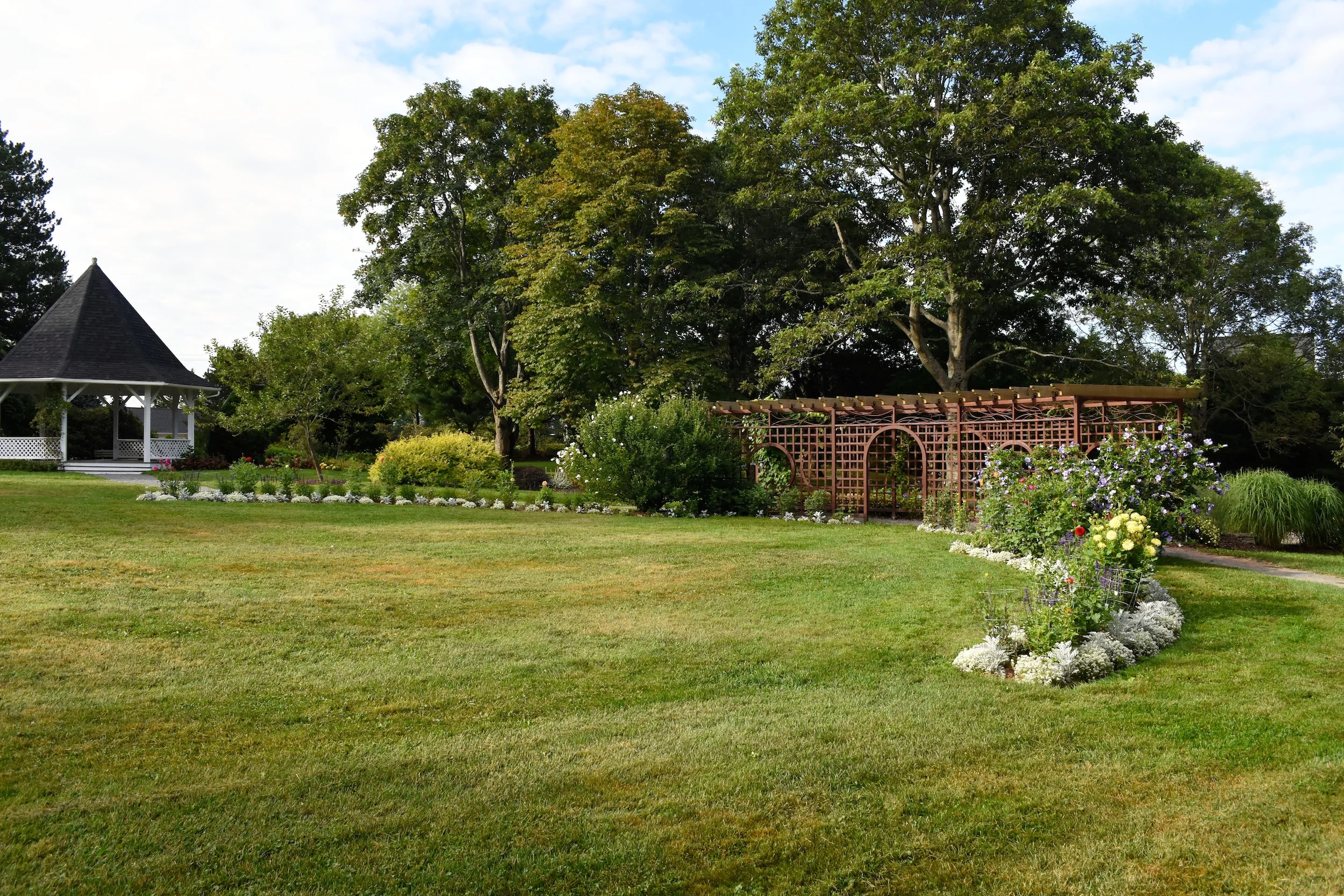 DSC_1417 site.JPG