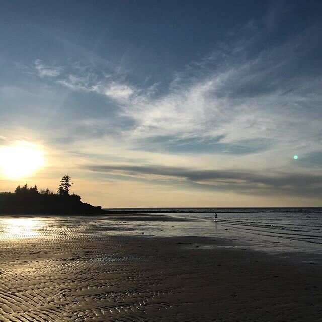 Sun setting on our first beach supper of the season. Hot, satisfying day spent hammering steel and planting potatoes. Heavenly evening dissolving into warm sand and brisk salt water.