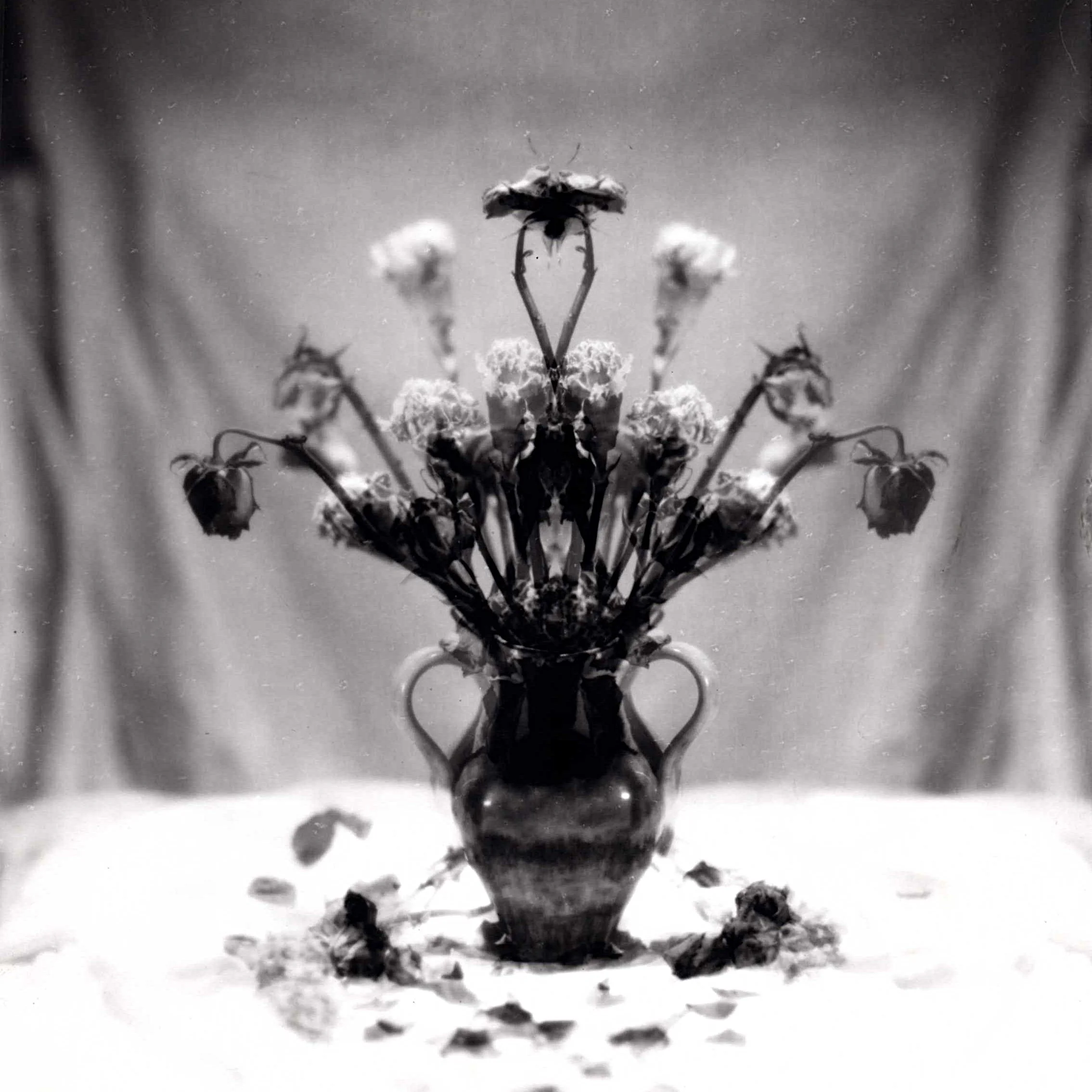 studio roses - augusta, ga - 1980