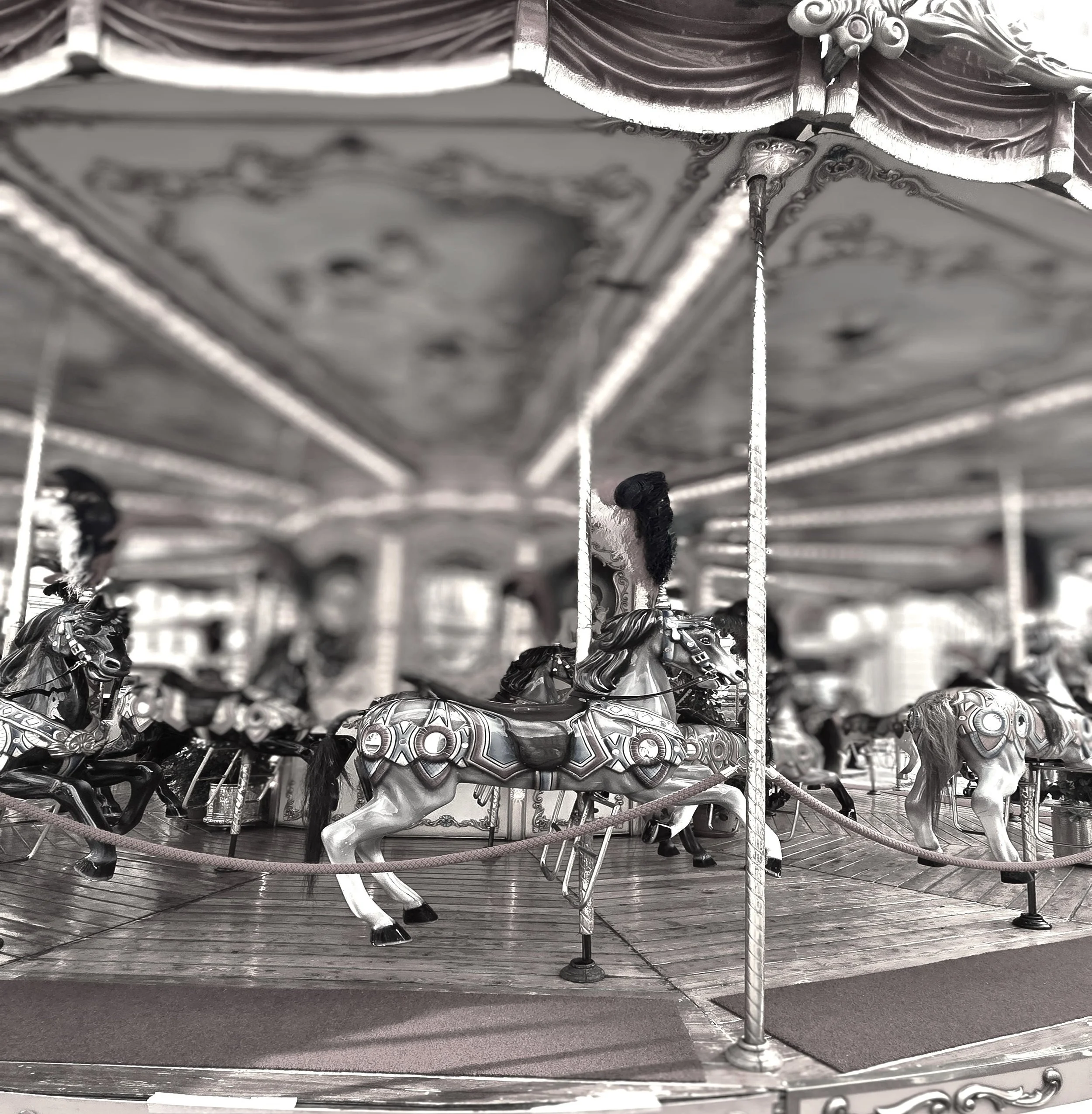 carousel - florence, italy