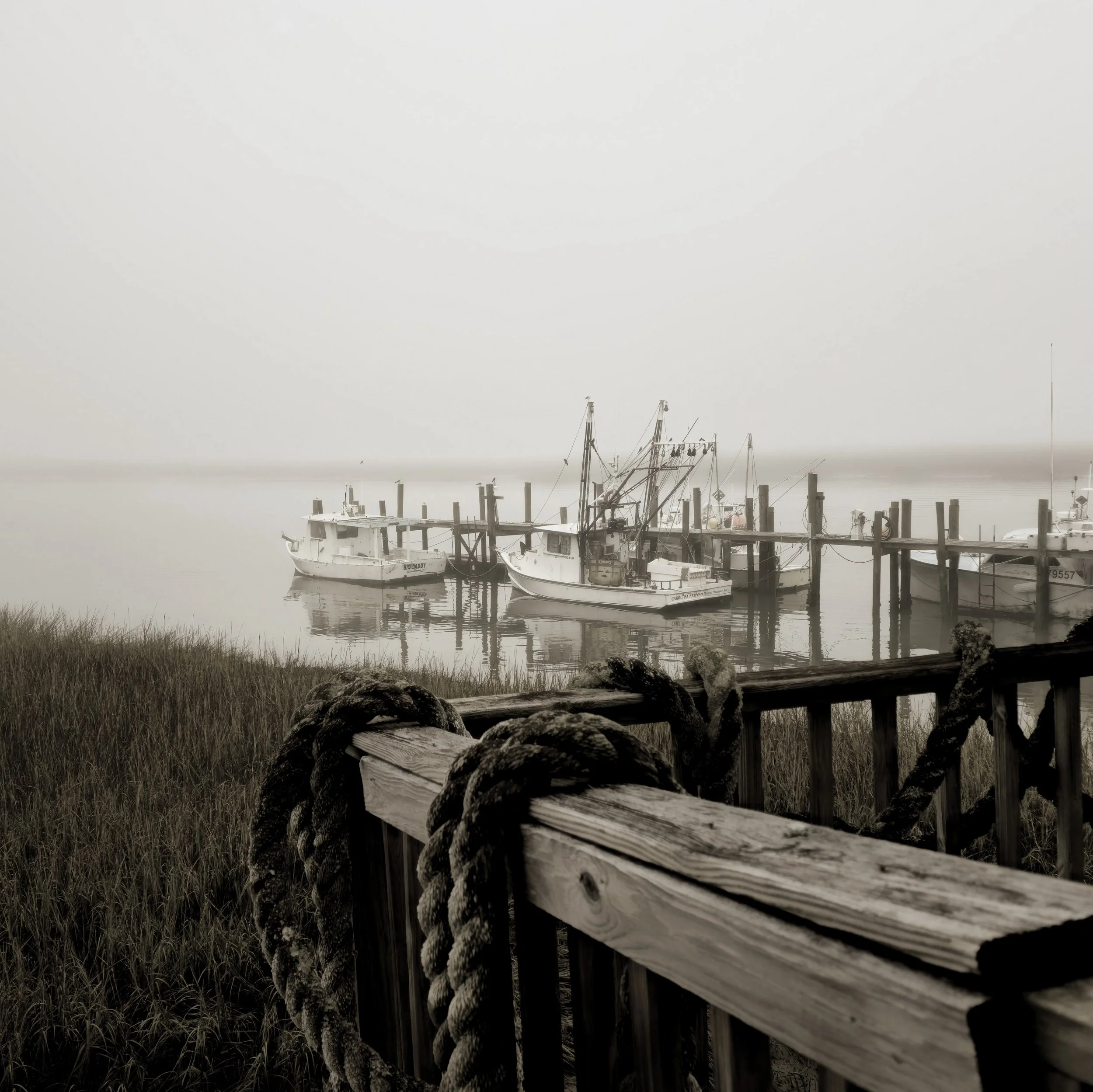 foggy morn - crosbys - folly beach,sc