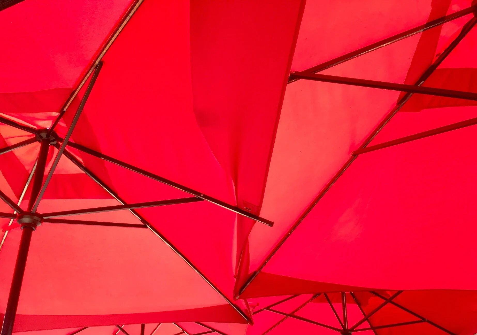 red-umbrellas_t20_gRk7eG.jpg