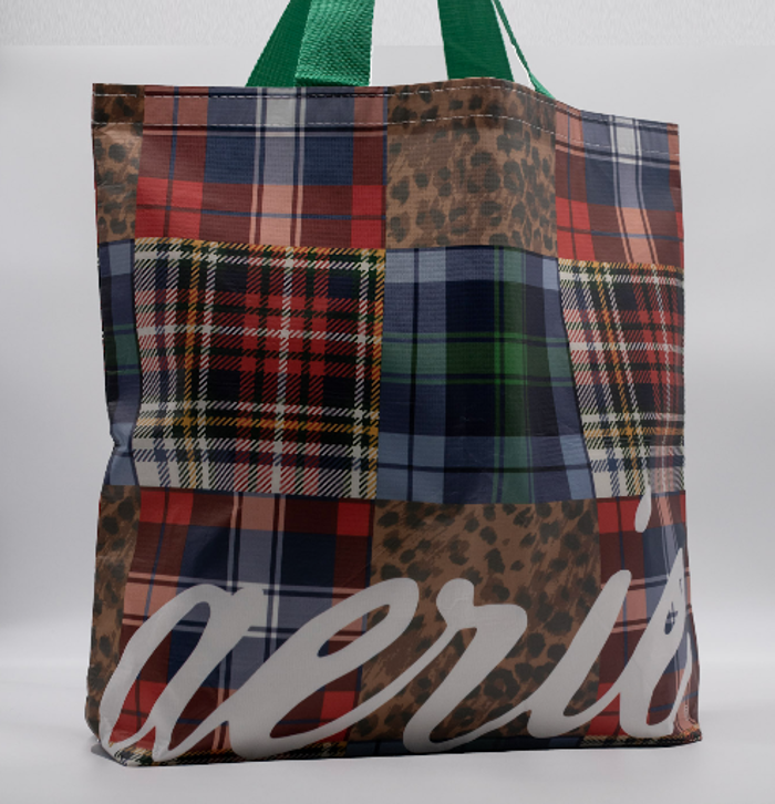 aerie tote.png