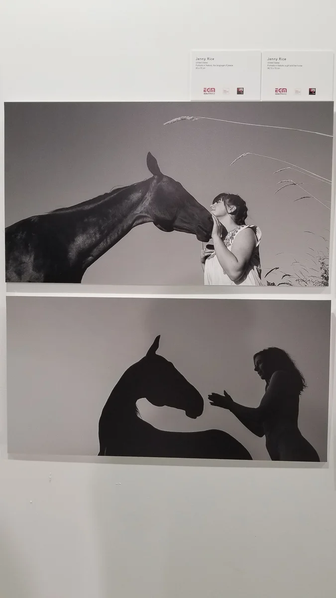 (Top: A Soulmate Has a Heart You Knew Bottom: The Language of Peace )