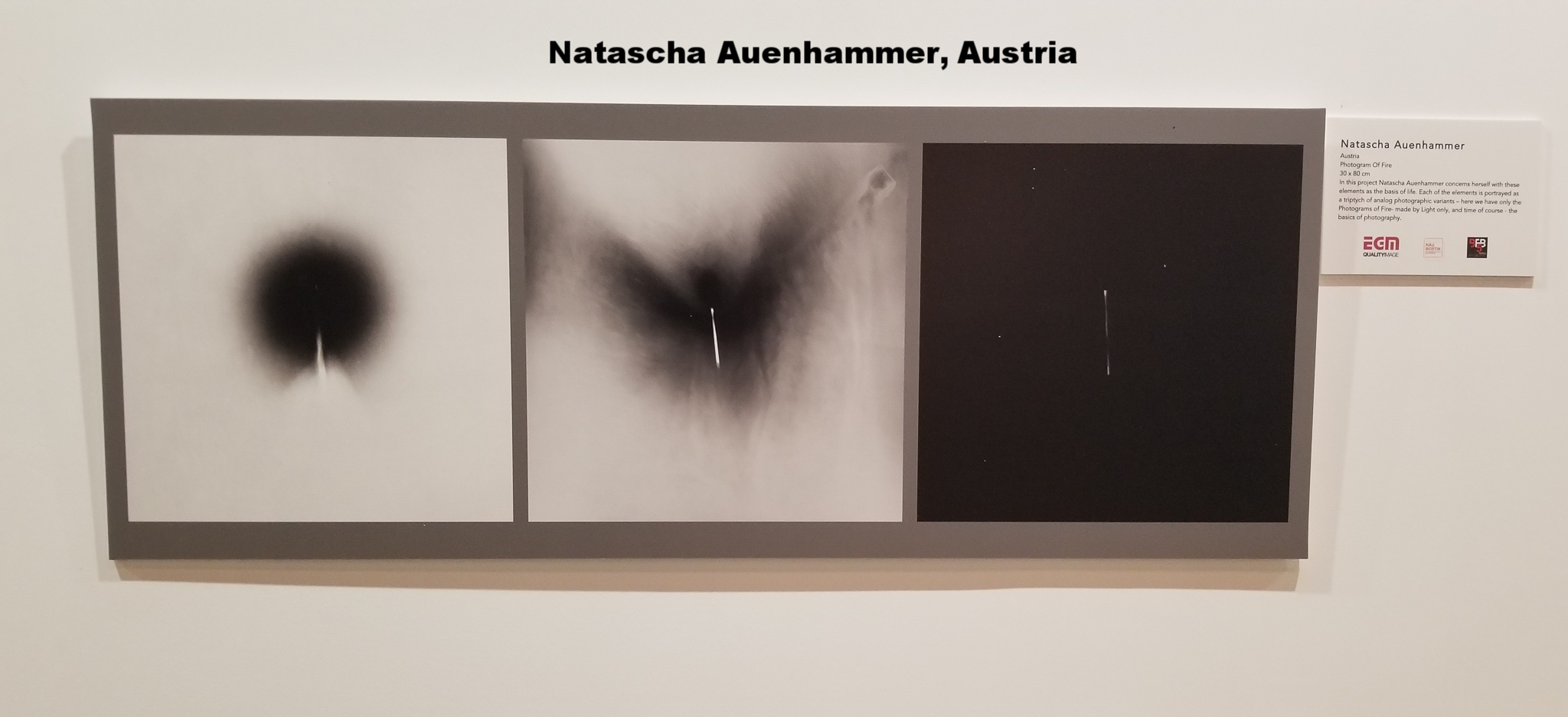 Natascha Auenhammer, Austria
