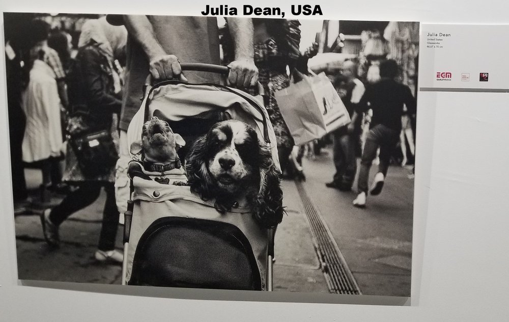 Julia Dean, United States 