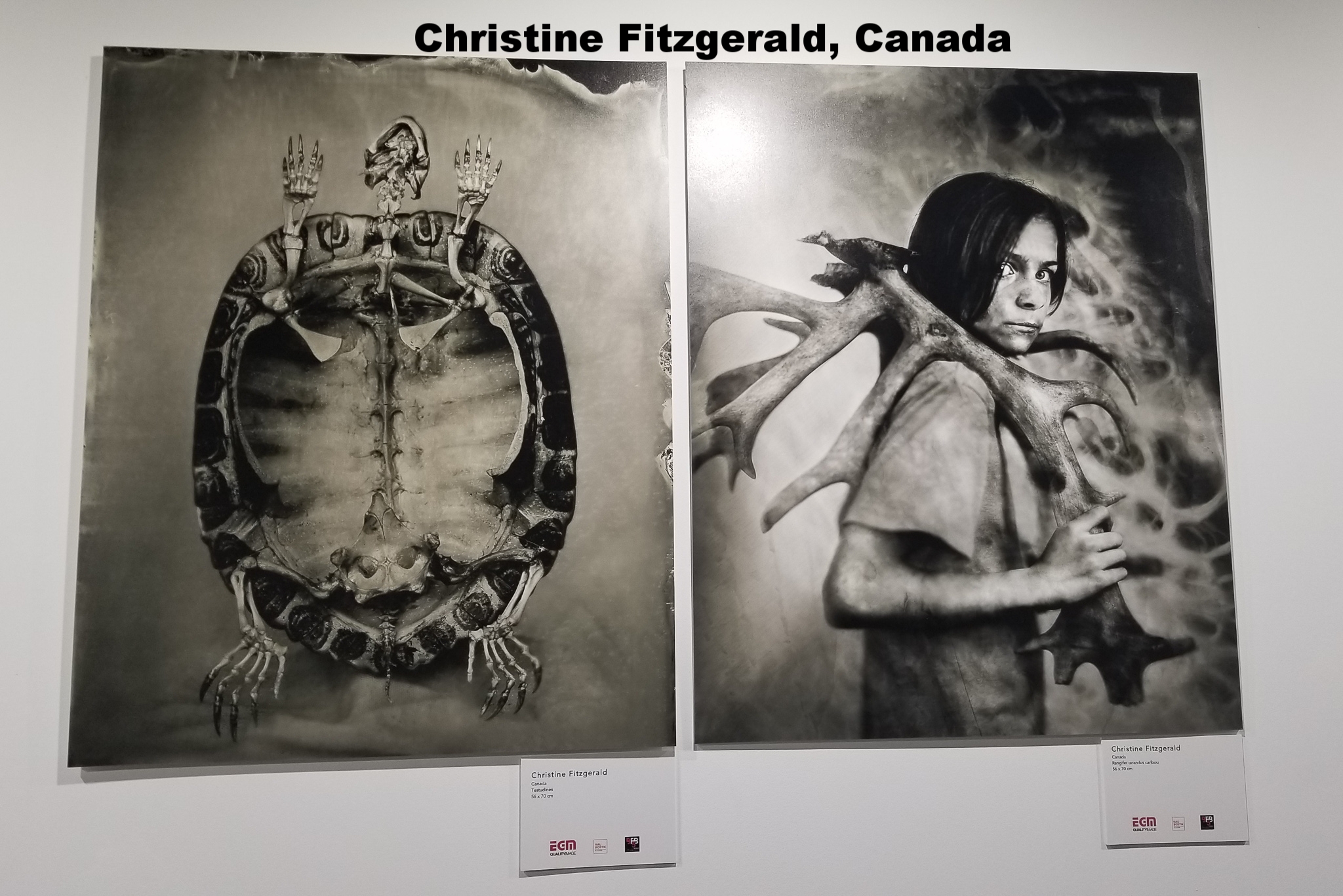 Christine Fitzgerald, Canada 