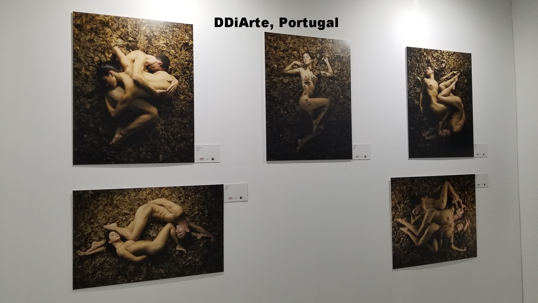 DDiArte, Portugal 