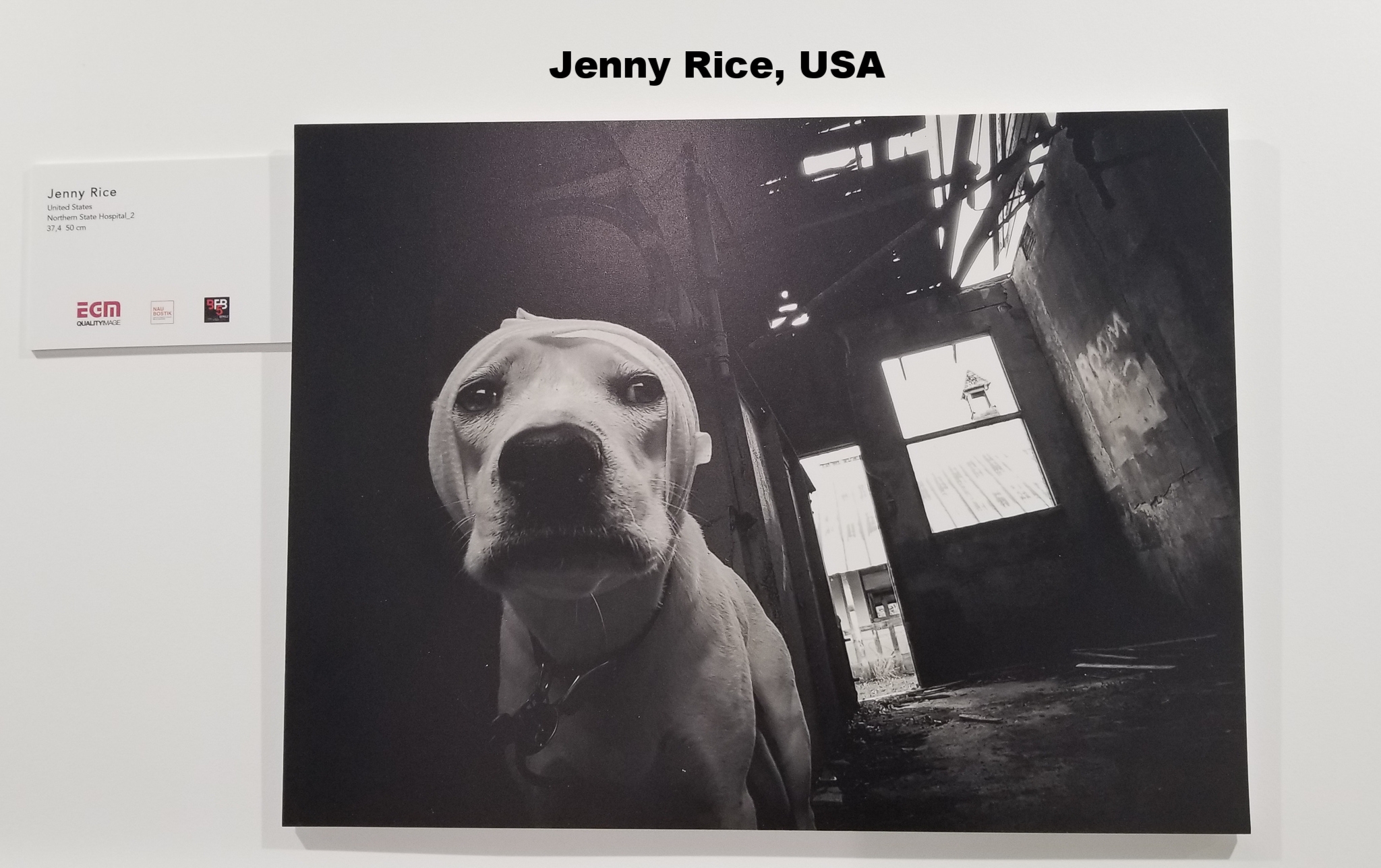 Jenny Rice, United States 