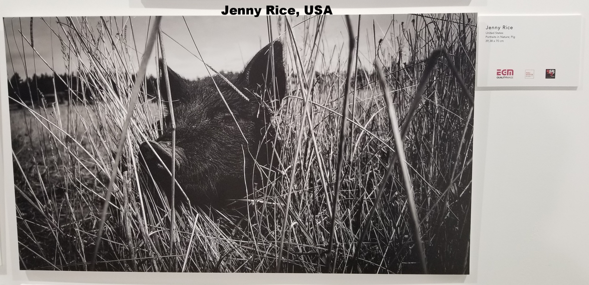 Jenny Rice, United States 