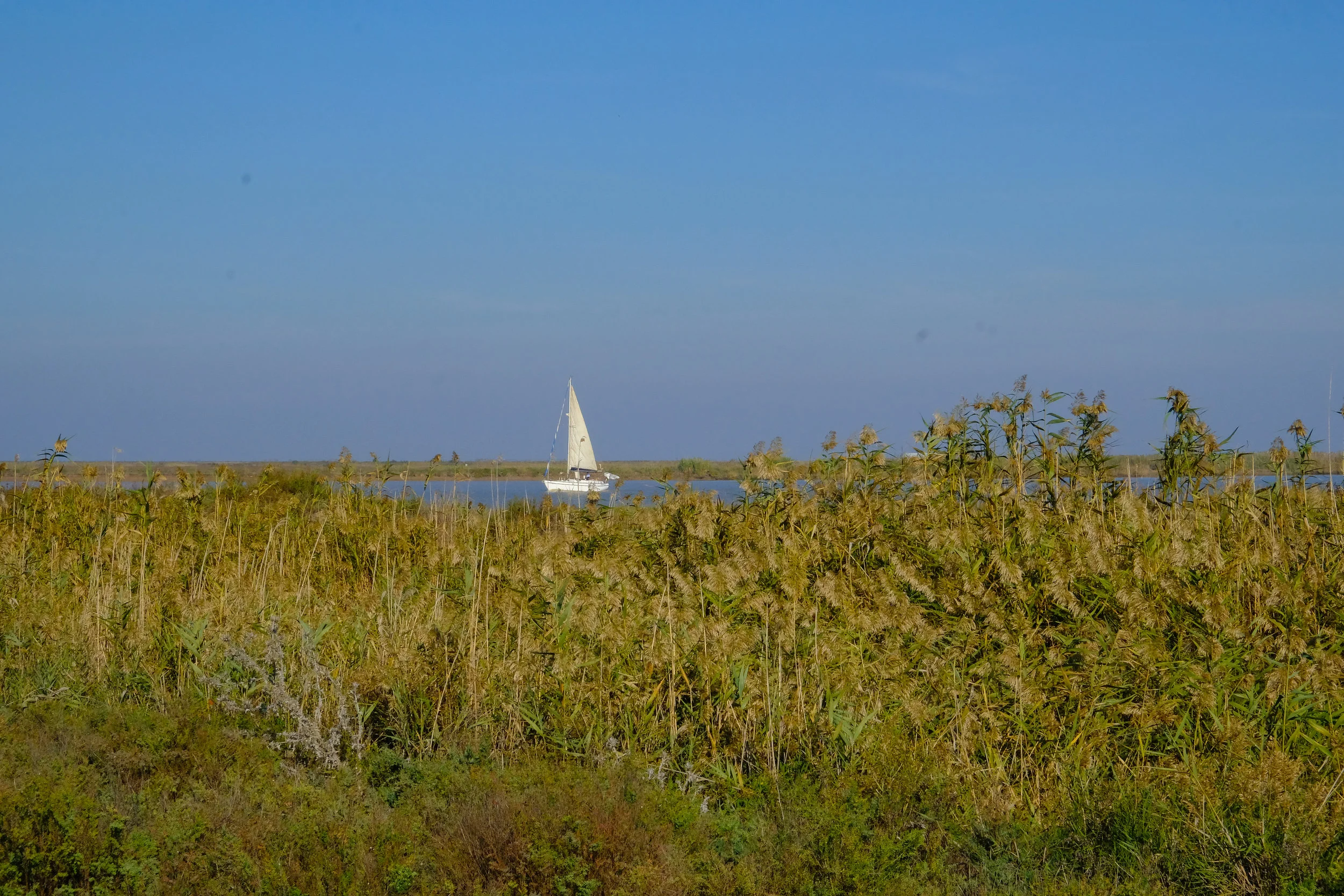 DSCF1879.jpg