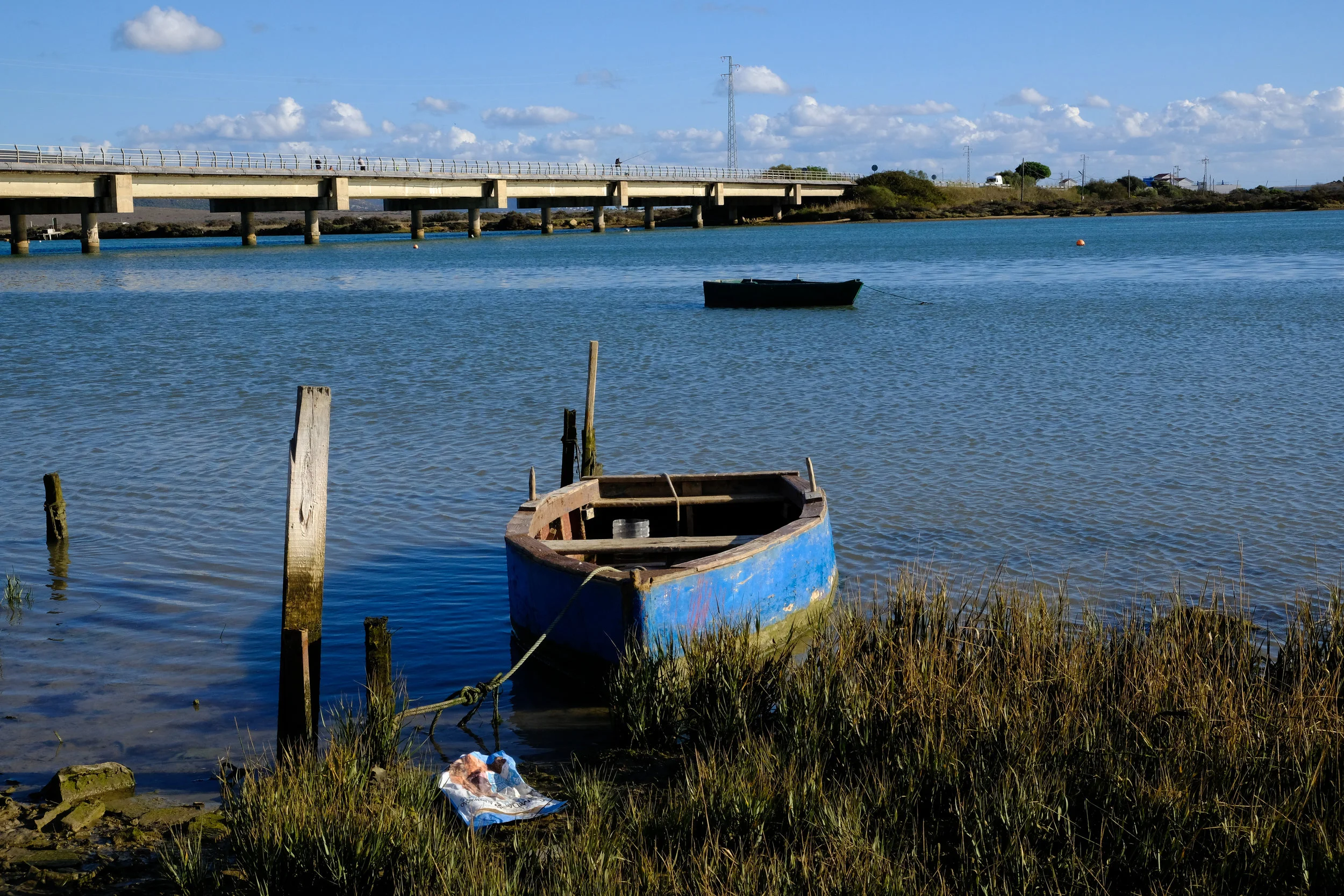 DSCF1441.jpg
