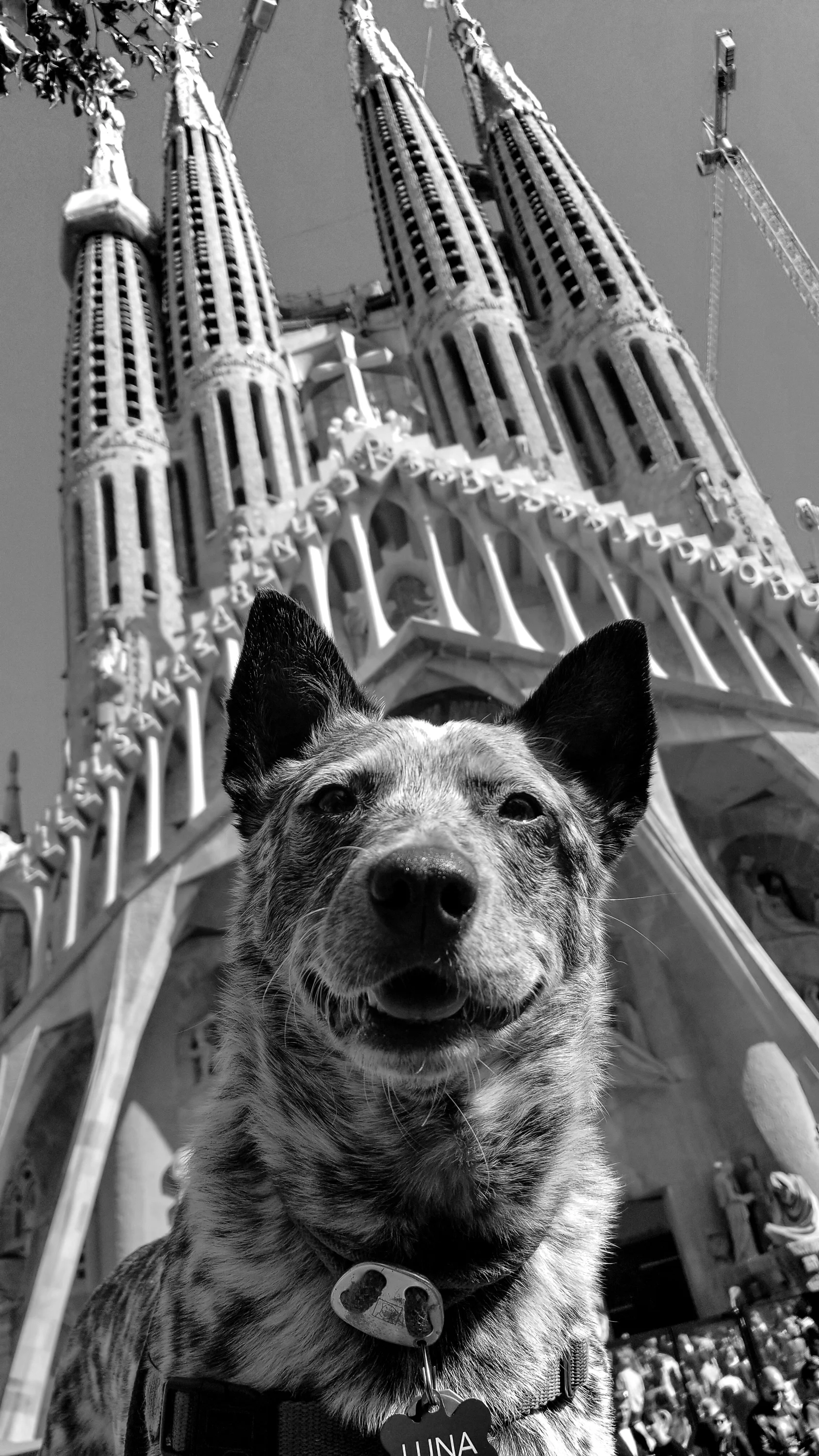 Sagrada Familia, Barcelona