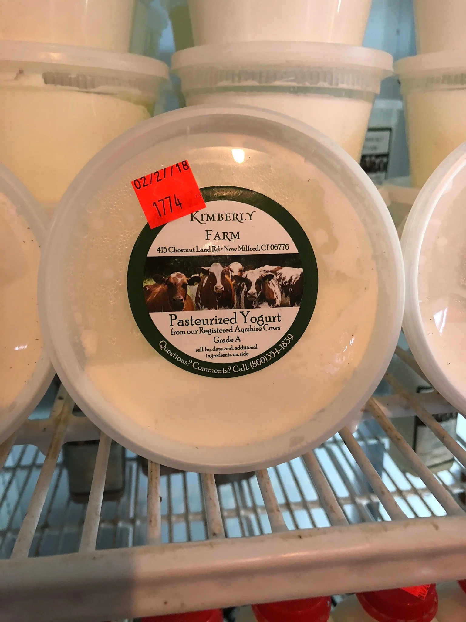 Pints Plain Yogurt 