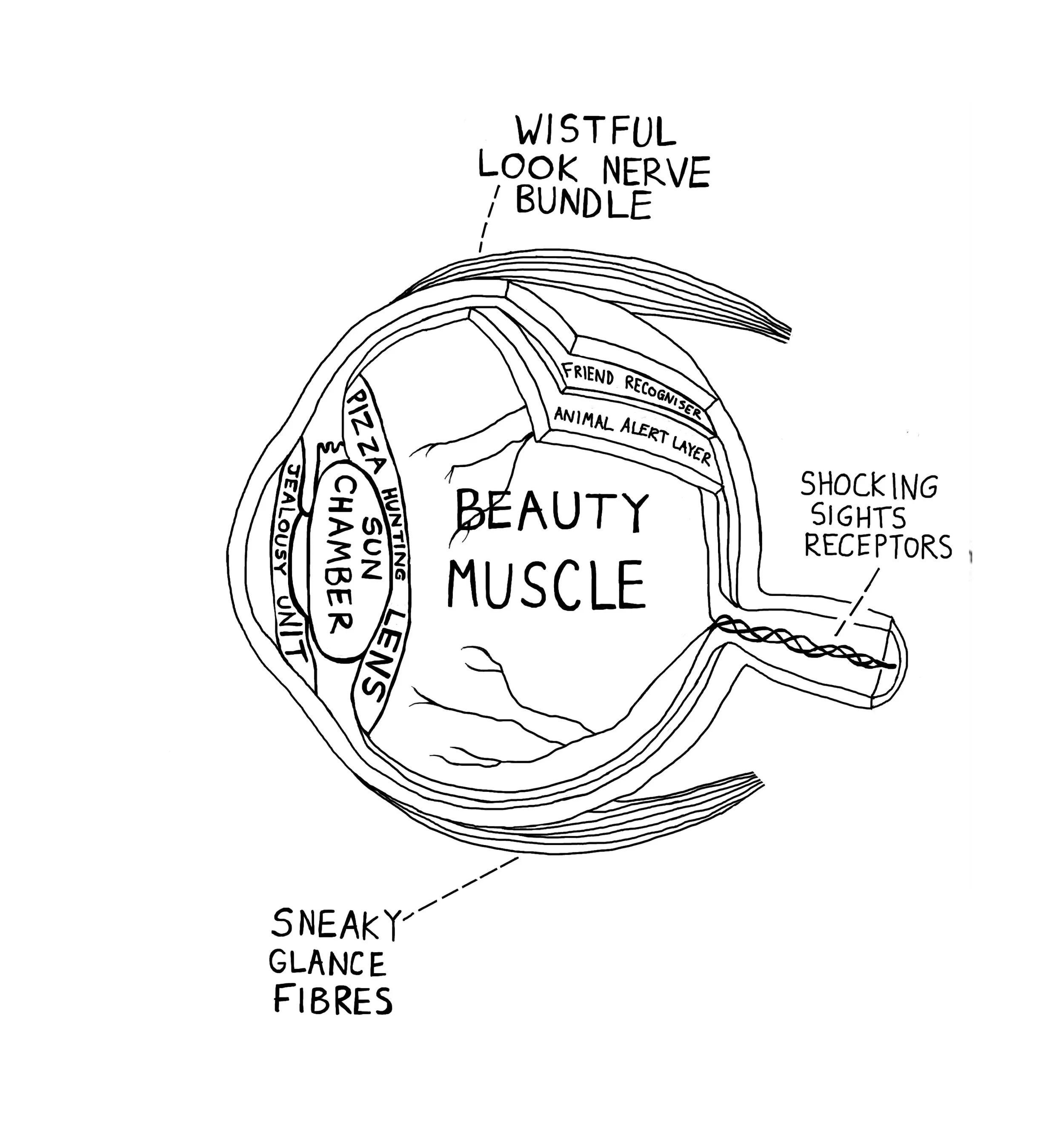 My Eye