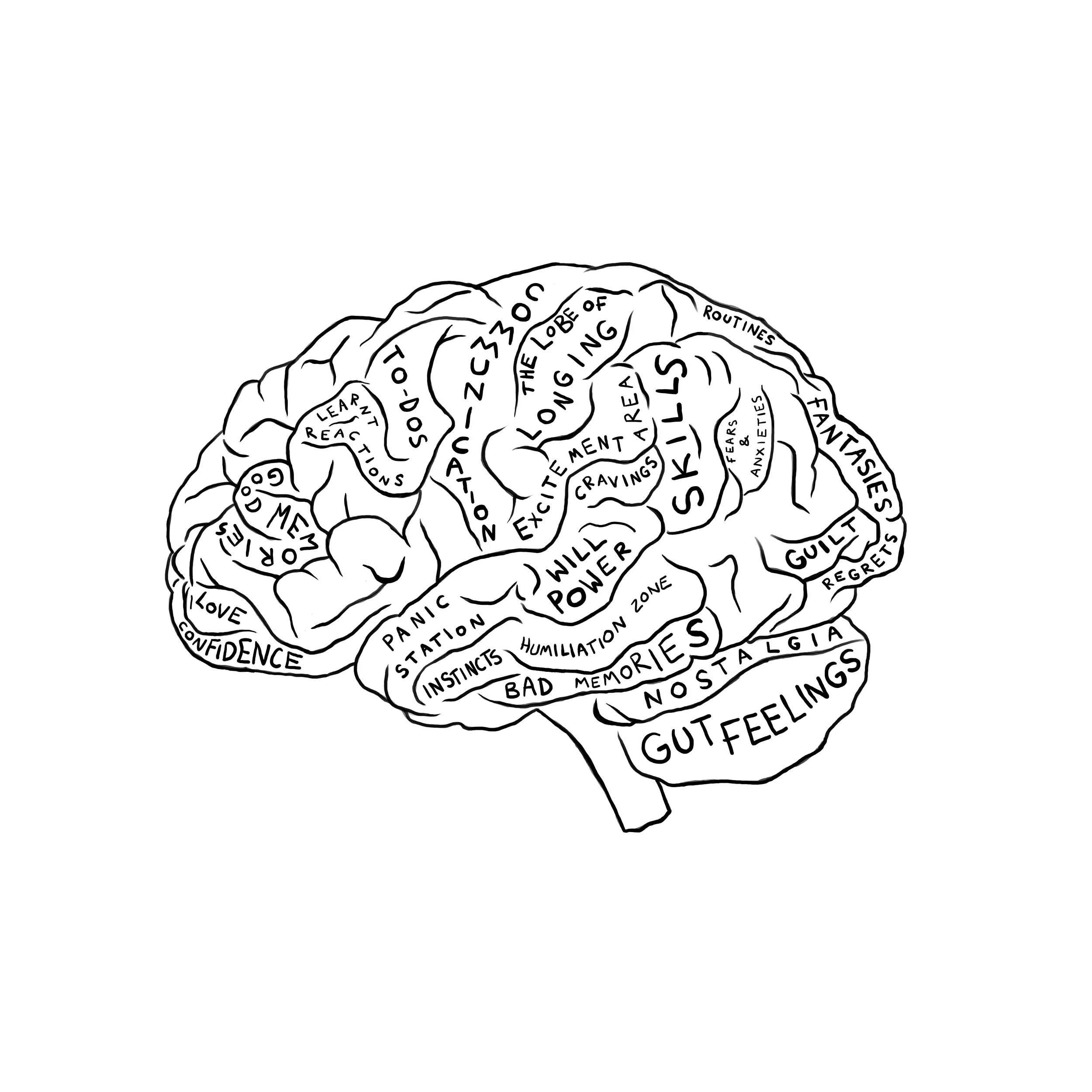 My Brain