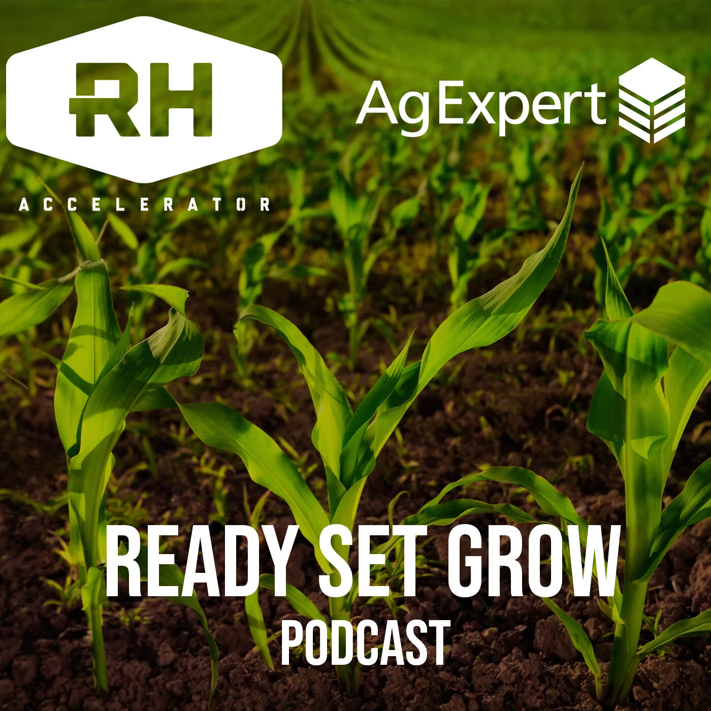 Ready Set Grow Podcast
