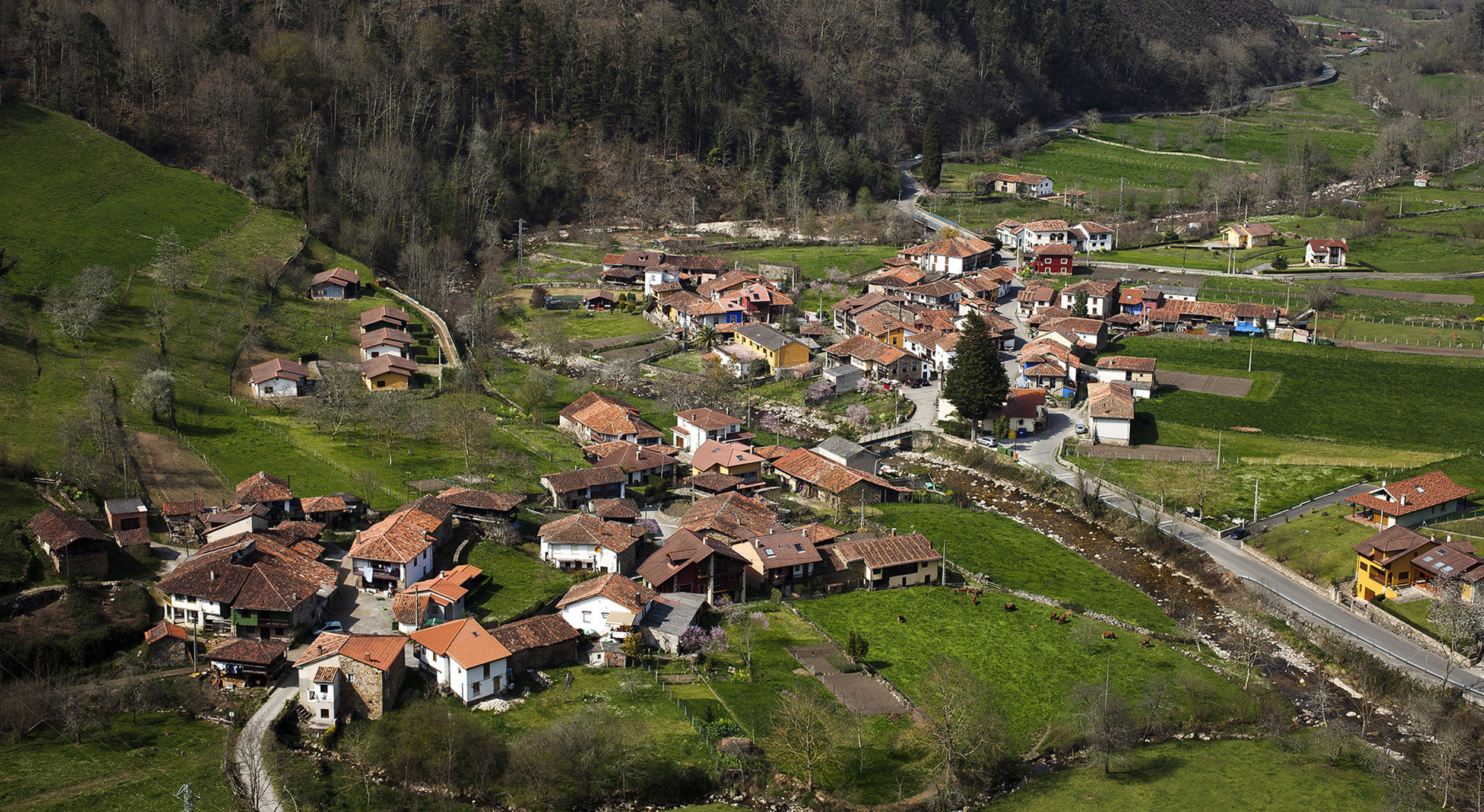 Espinaredo01.jpg