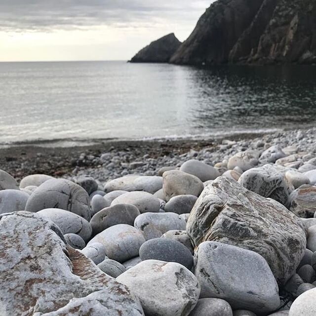 Es:
La diversidad paisaj&iacute;stica es algo muy valorado en Asturias.
Podr&aacute;s descubrir... playas de arena fina o de cantos rodados🏖️🌊. &iexcl;T&uacute; eliges!
&iexcl;&iexcl;Ven a Asturias y al&oacute;jate en nuestras casas!!
#casasrurales