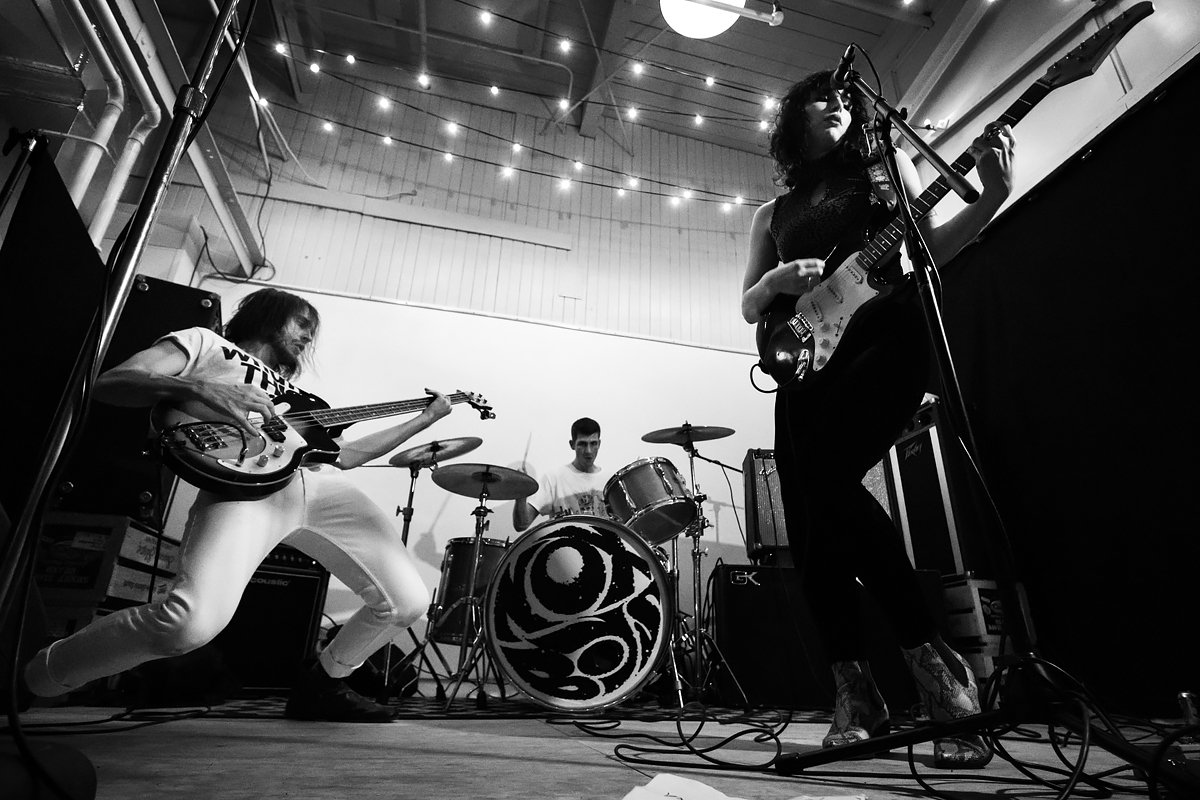 The band Baby Brains from York, PA
