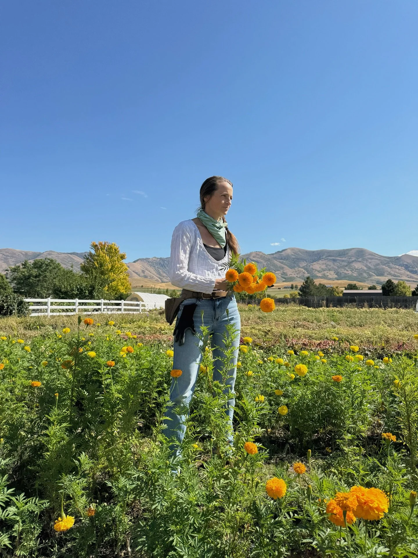 We are officially on the cusp of transitioning into stick season here in the mountains and soon what little life is left, will find itself deep in hibernation for the winter. 
This summer has served as a beautiful reminder that we reap what we sow a