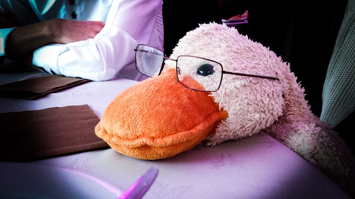 Wat gebeurt er hier? Wordt er hier geoordeeld? Kind of feel this way … a nerdy duck!!!