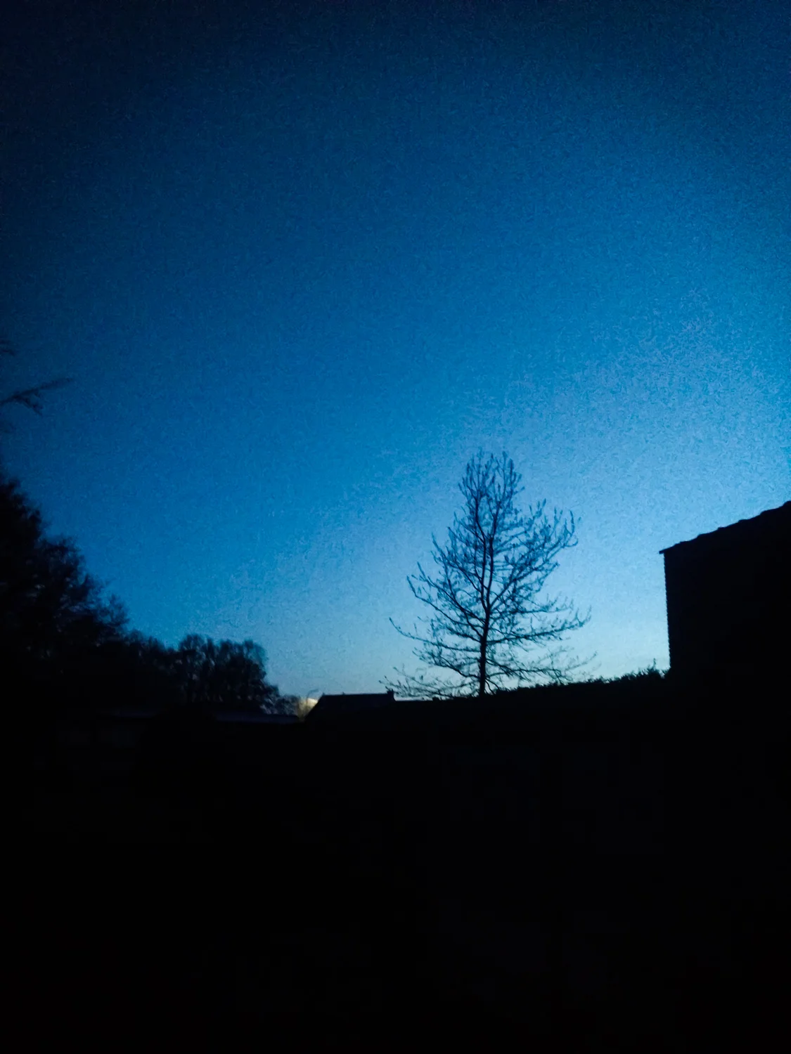 De-liefde-lost-alles-op---nacht.jpg