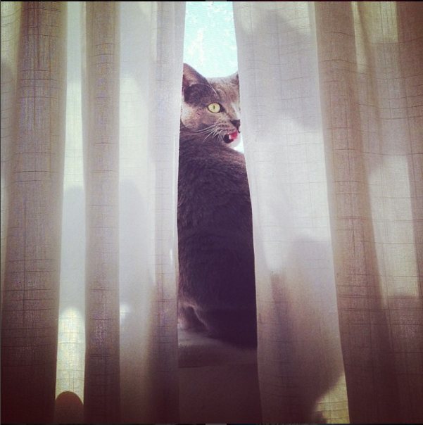 Screen Shot 2016-02-17 at 12.10.03 AM.png