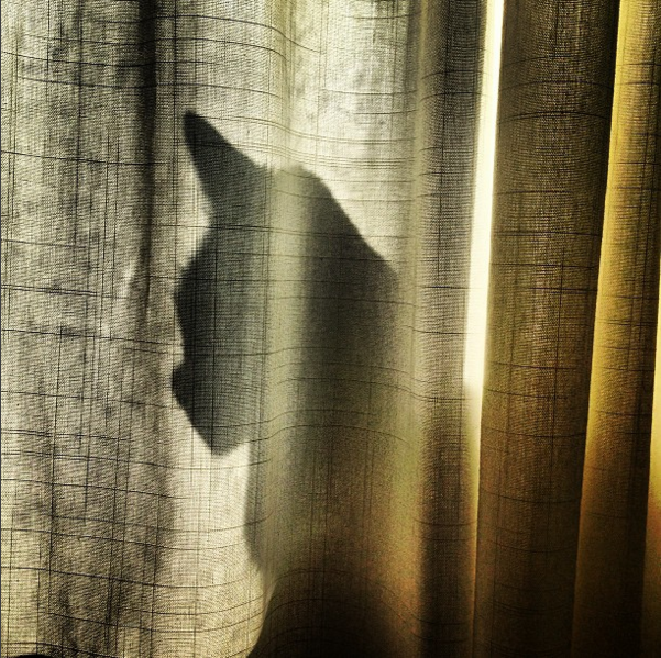 Screen Shot 2016-02-17 at 12.59.42 AM.png