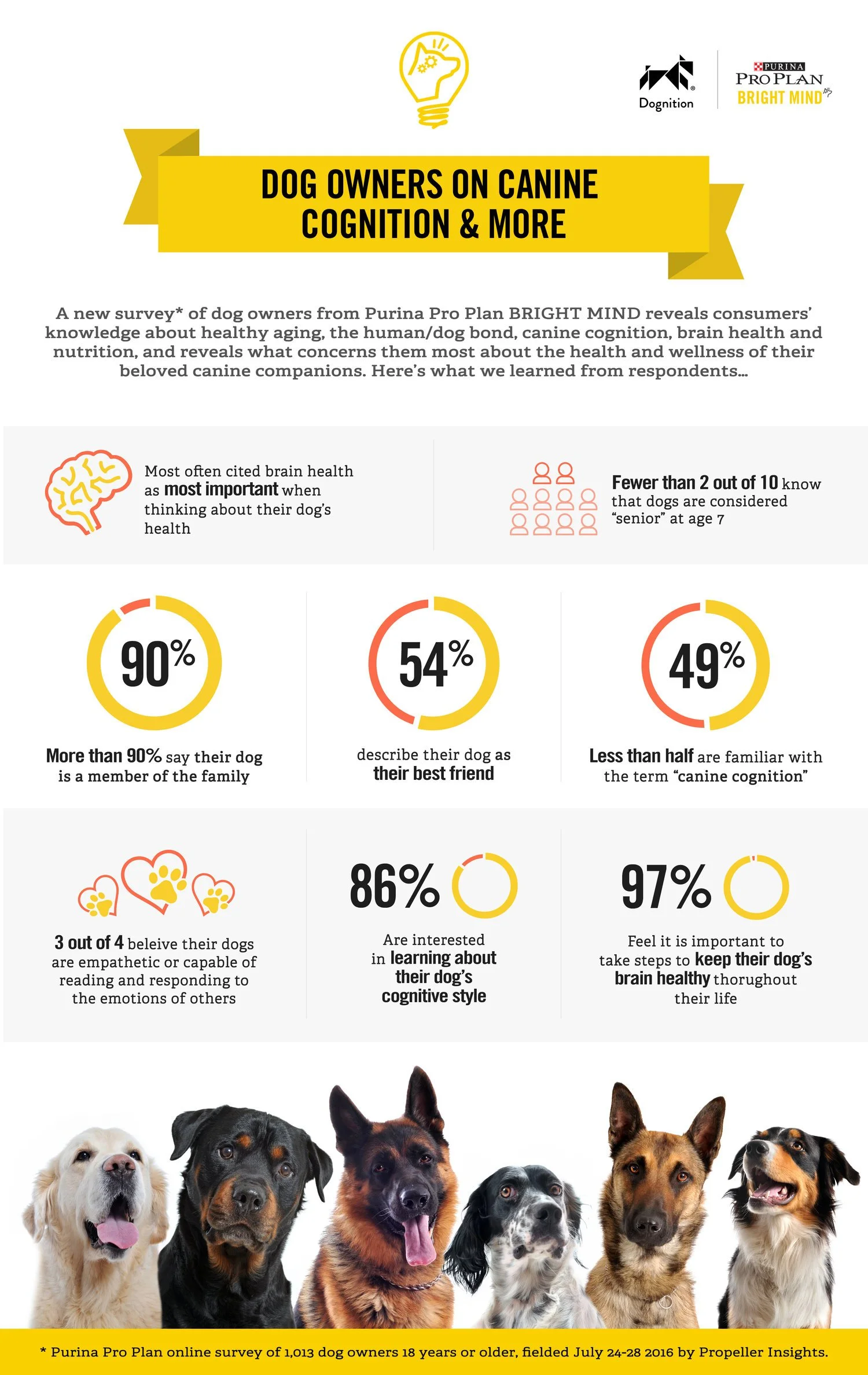 BrightMinds_Infographic_081716.jpg