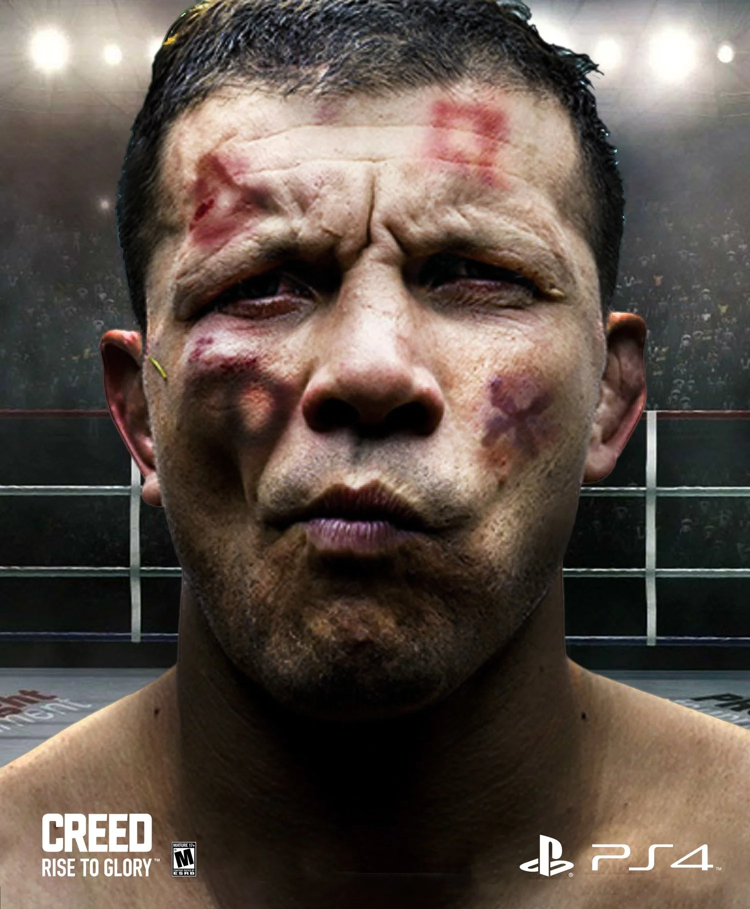 PS4_Ad_Specs_Boxer.jpg