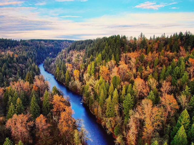 Lookin mighty fine in all your fall colors, PNW! #droners #dronephotography #dronestagram #droneshots #droneoftheday #womenwhodrone #flygirl #djimavic2zoom #droning #dronedaily #pnwphotographer #aerialphotography #pnwonderland