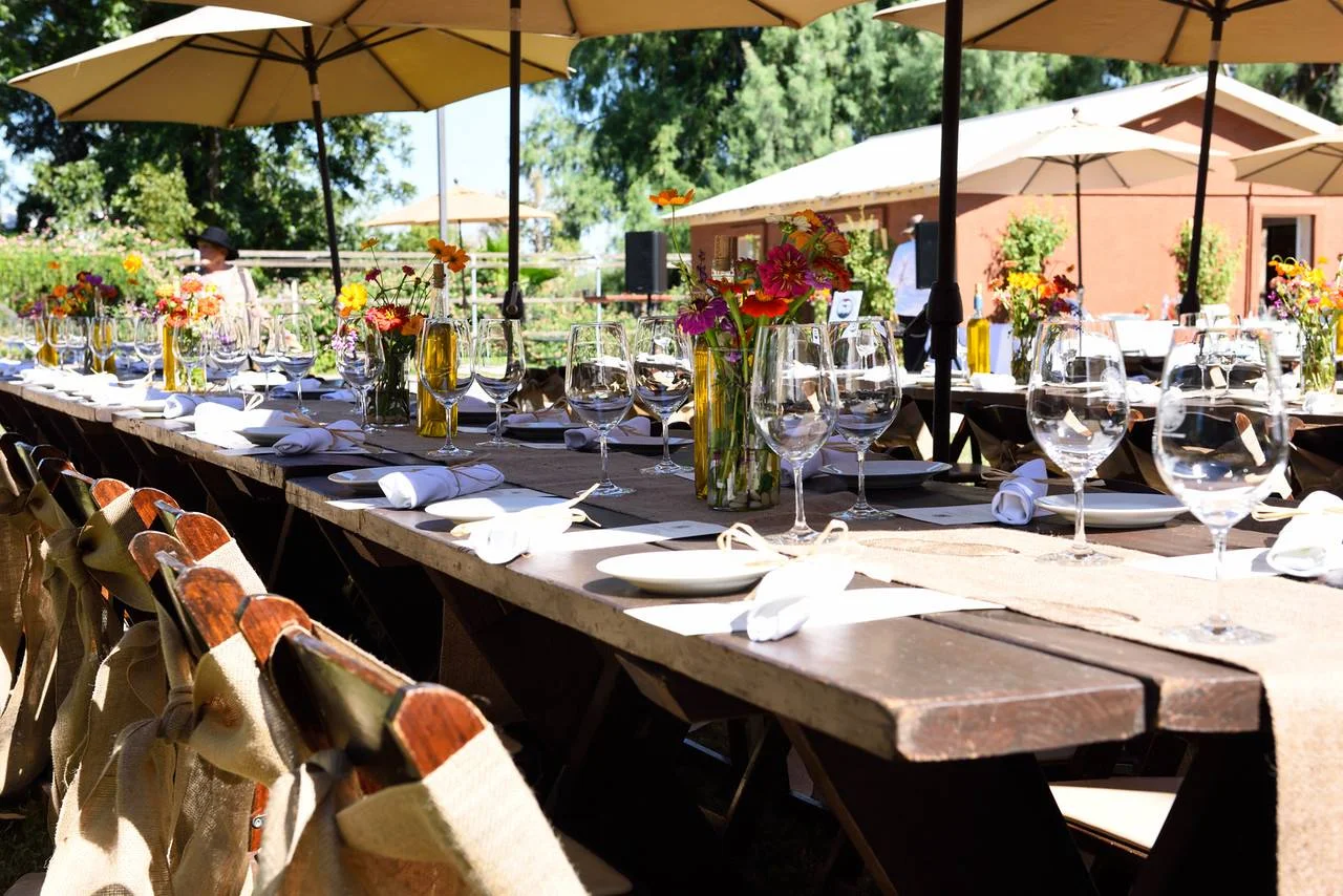 Dinner wide shot.jpg