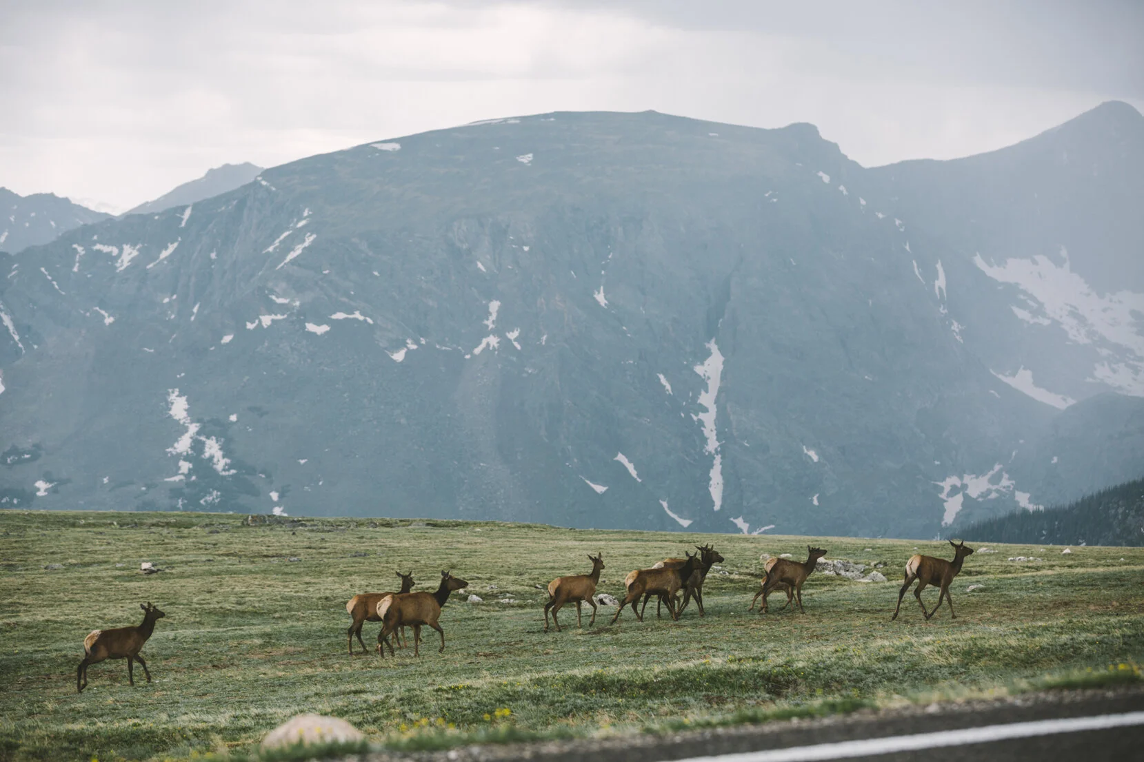Elk Run.jpg